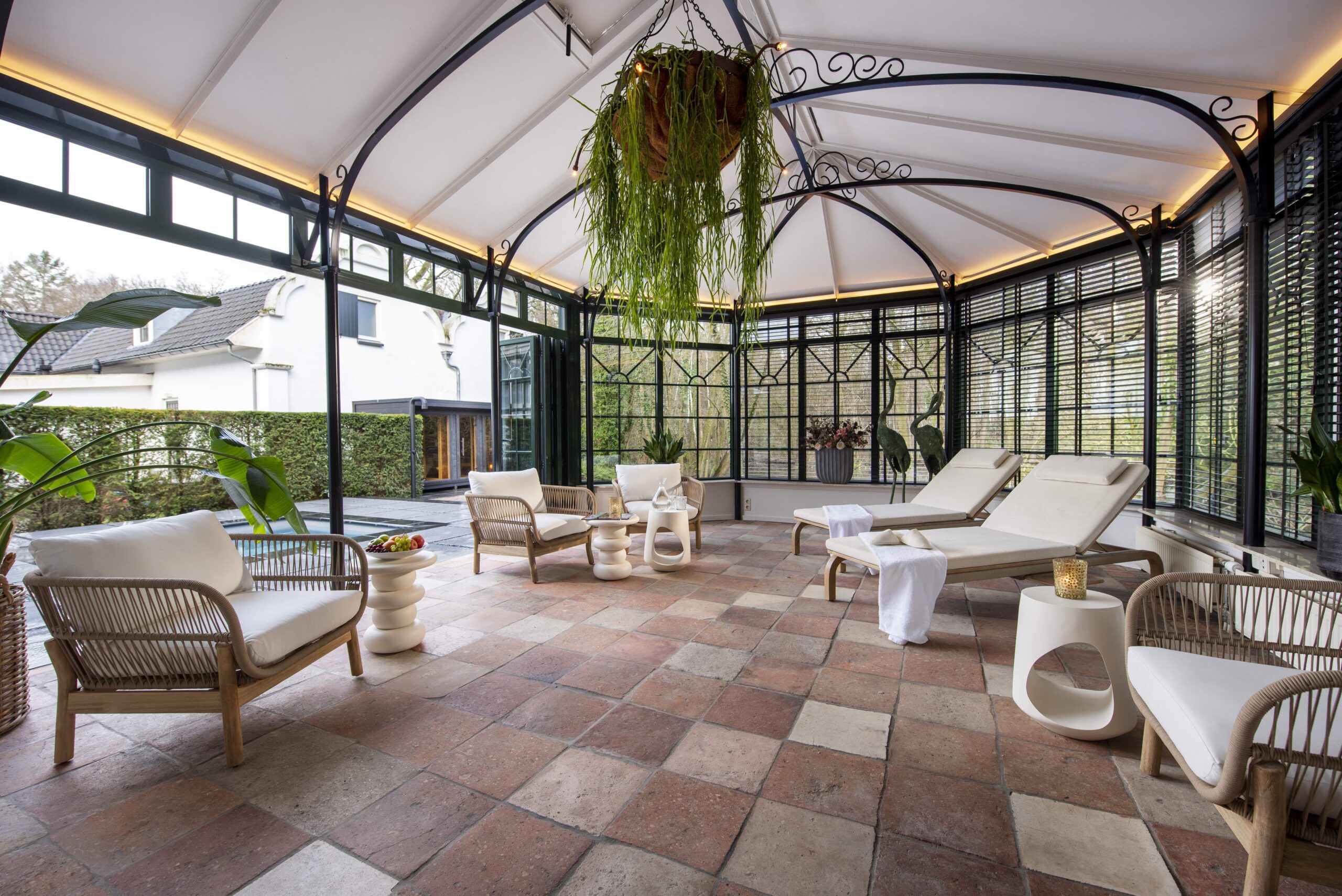 brown pathway between green plants