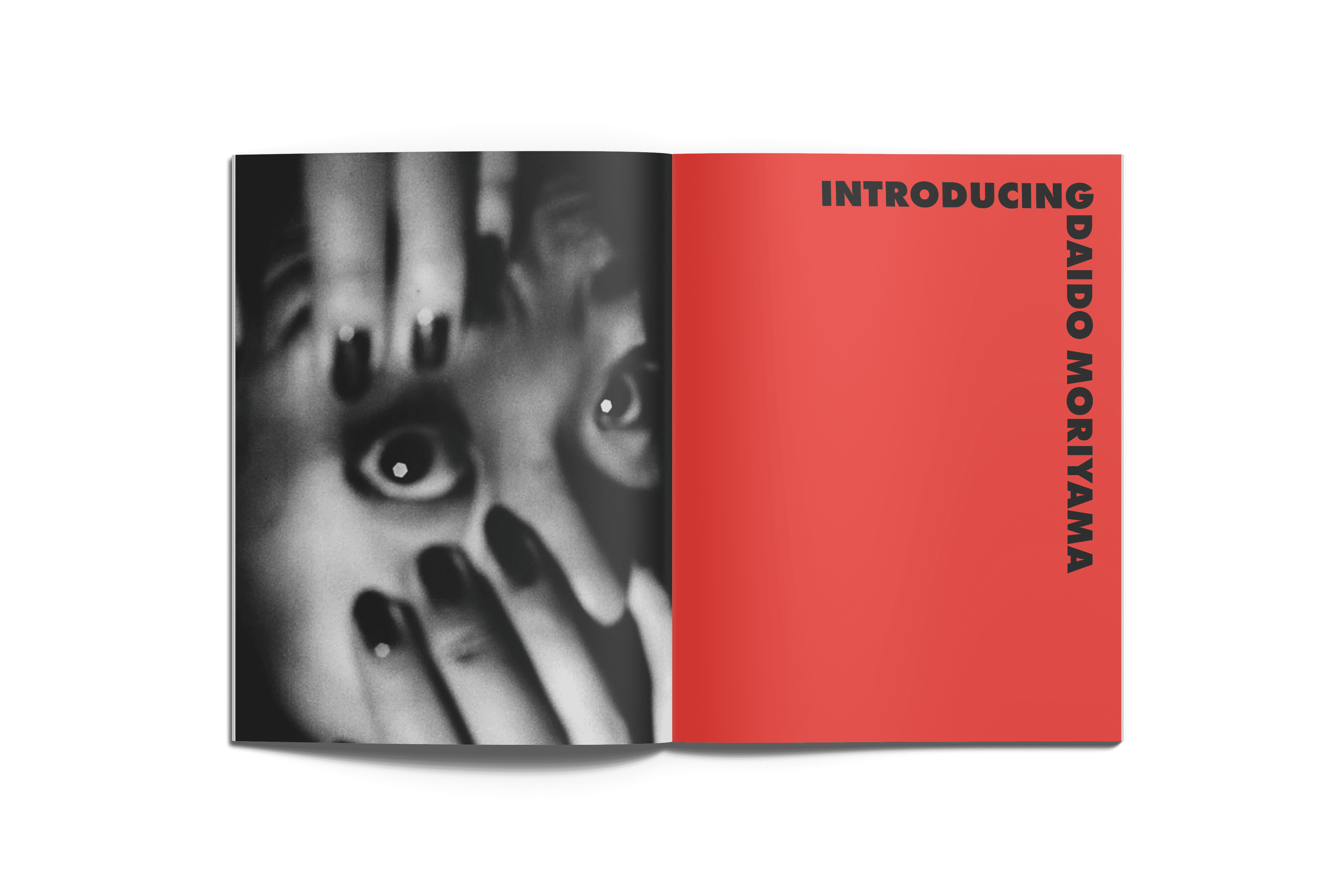 Open book with sunlight and shadows highlighting editorial typography design