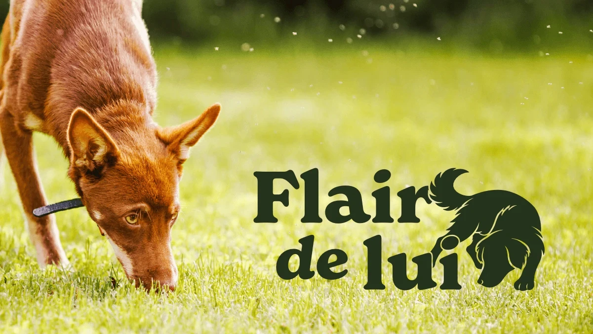 Création de l'identité visuelle pour Flair de lui, structure spécialisée dans le travail du flair et l'éducation canine