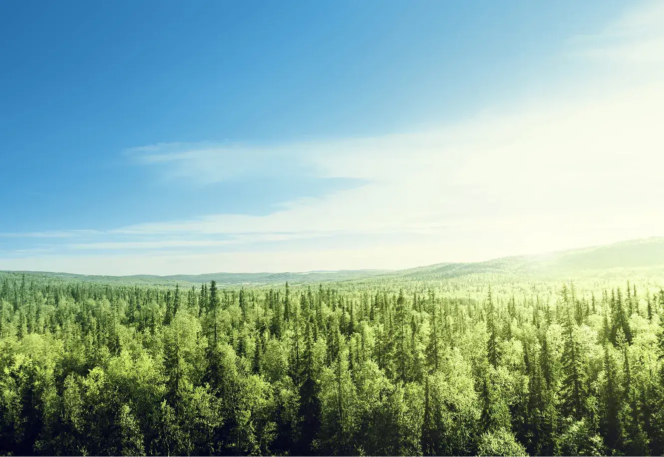 Intelifore forestry planning and GIS management platform dashboard