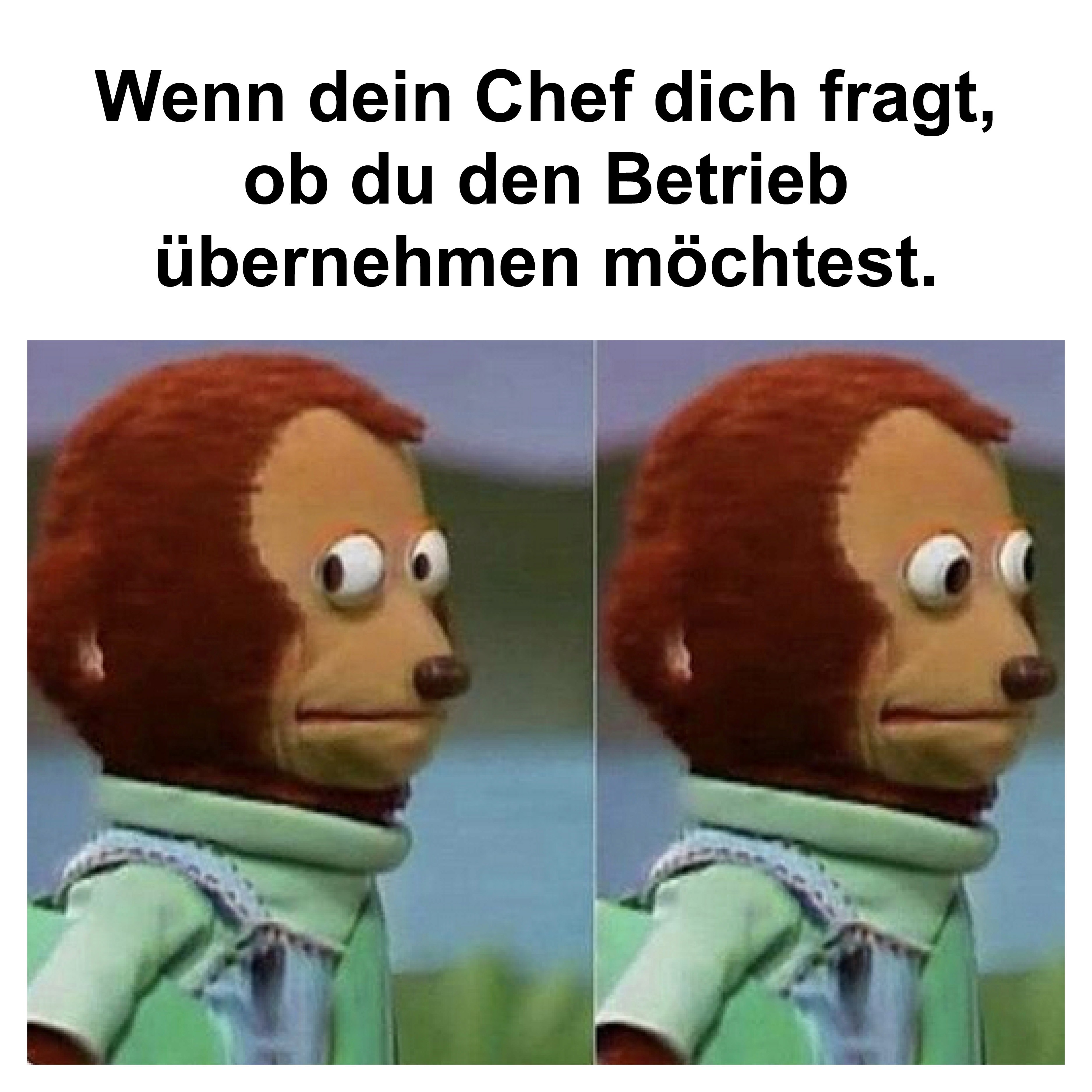 Verzweifeltes Affen-Meme: Chef fragt nach Übernahme, Gesichtsausdruck der Unsicherheit & Überforderung