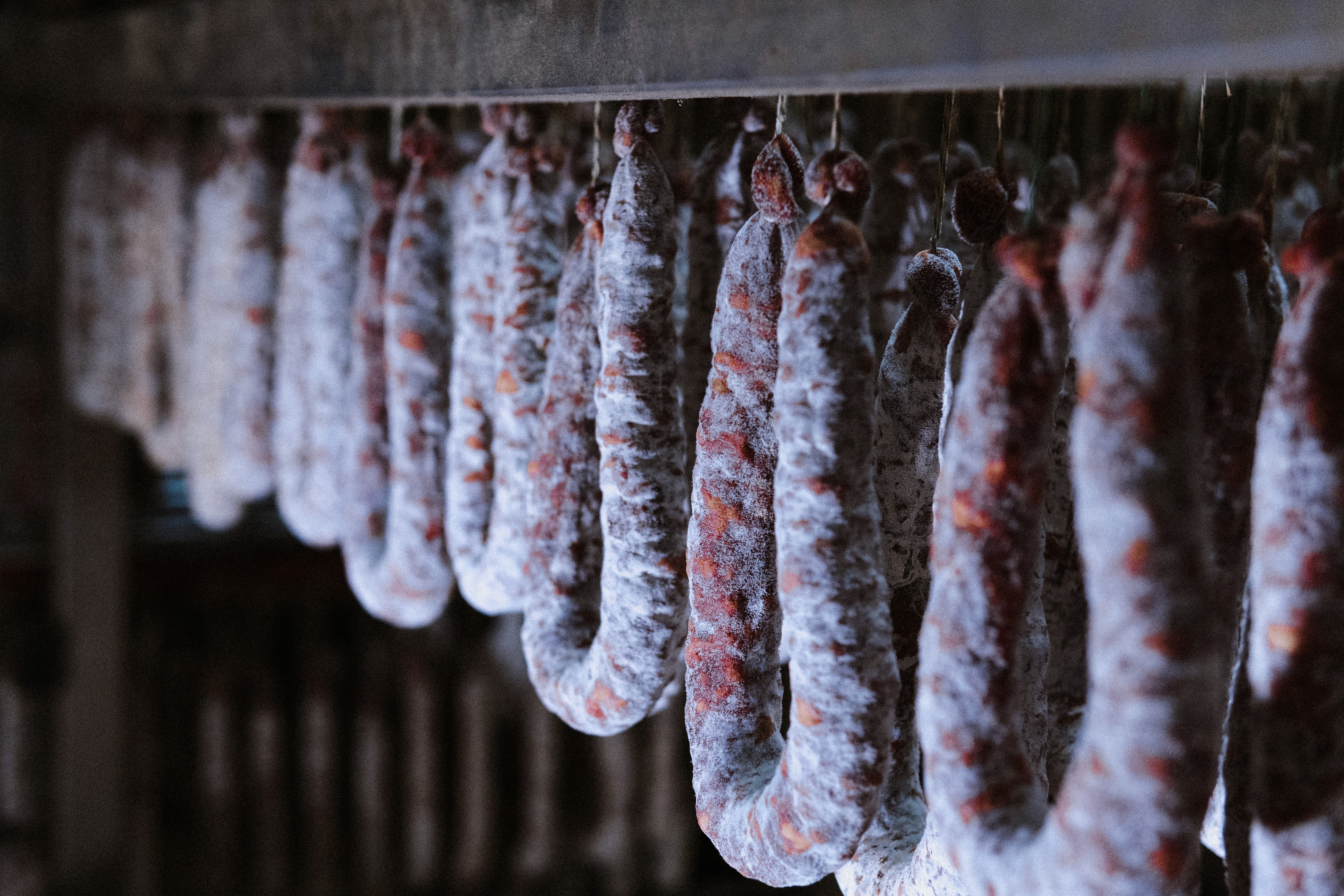 Salumi artigianali in stagionatura con muffa naturale nel laboratorio | Salumi Del Colle