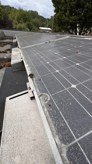 Ein verschmutztes Solarmodul mit einem silbernen Rahmen auf einem Flachdach