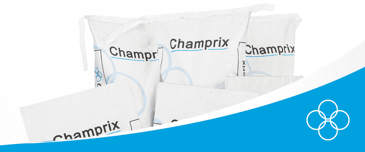 Champrix bags