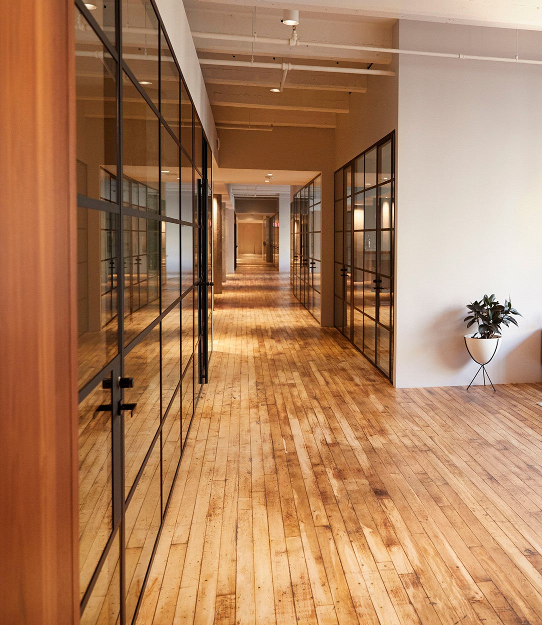 香港辦公室木地板工程,走廊裝修採用工業風設計配搭黑框玻璃隔間,適合寫字樓打造時尚簡約商業空間。