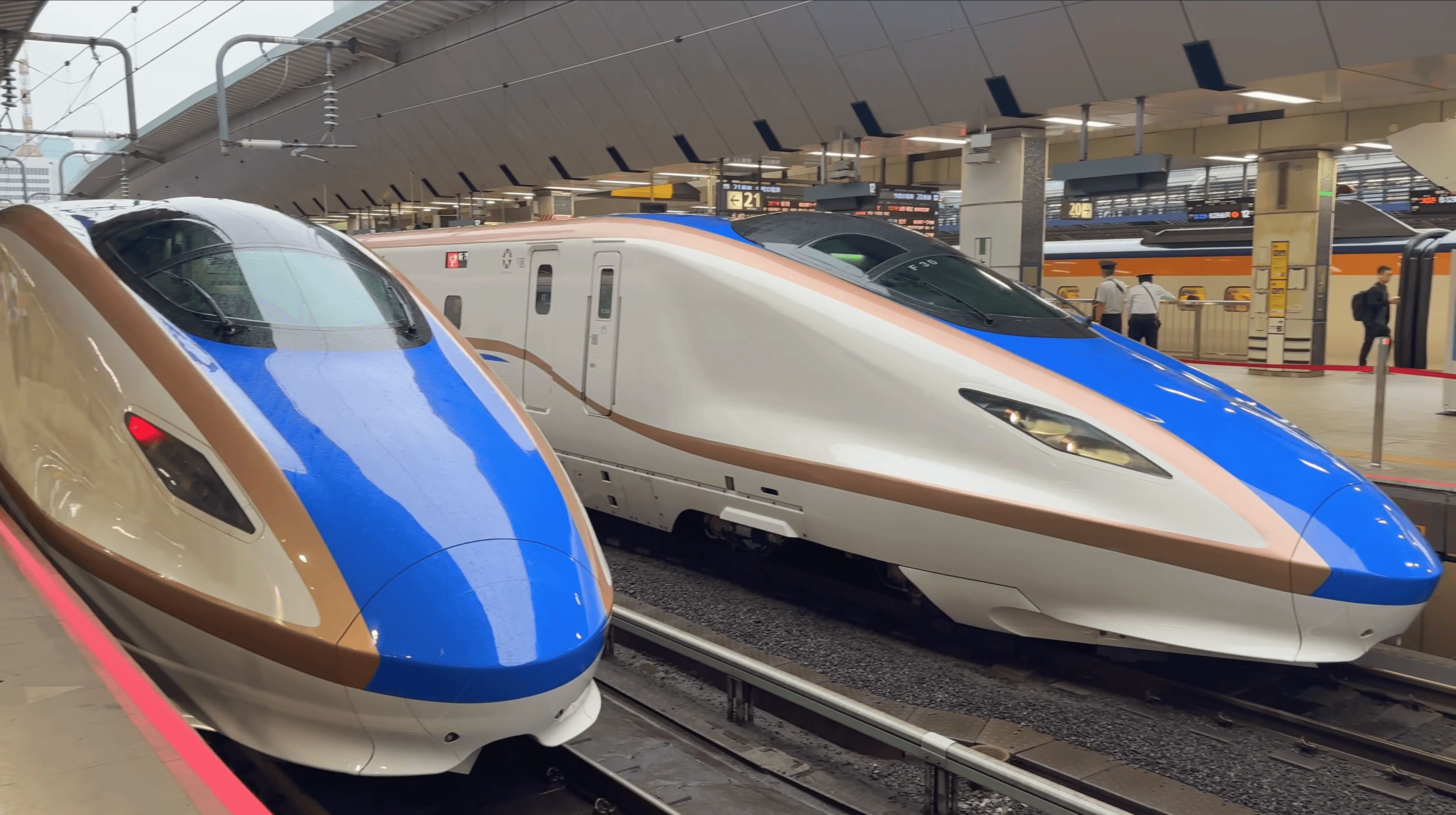 Hokuriku Shinkansen: Tokyo to Snow Monkey Park