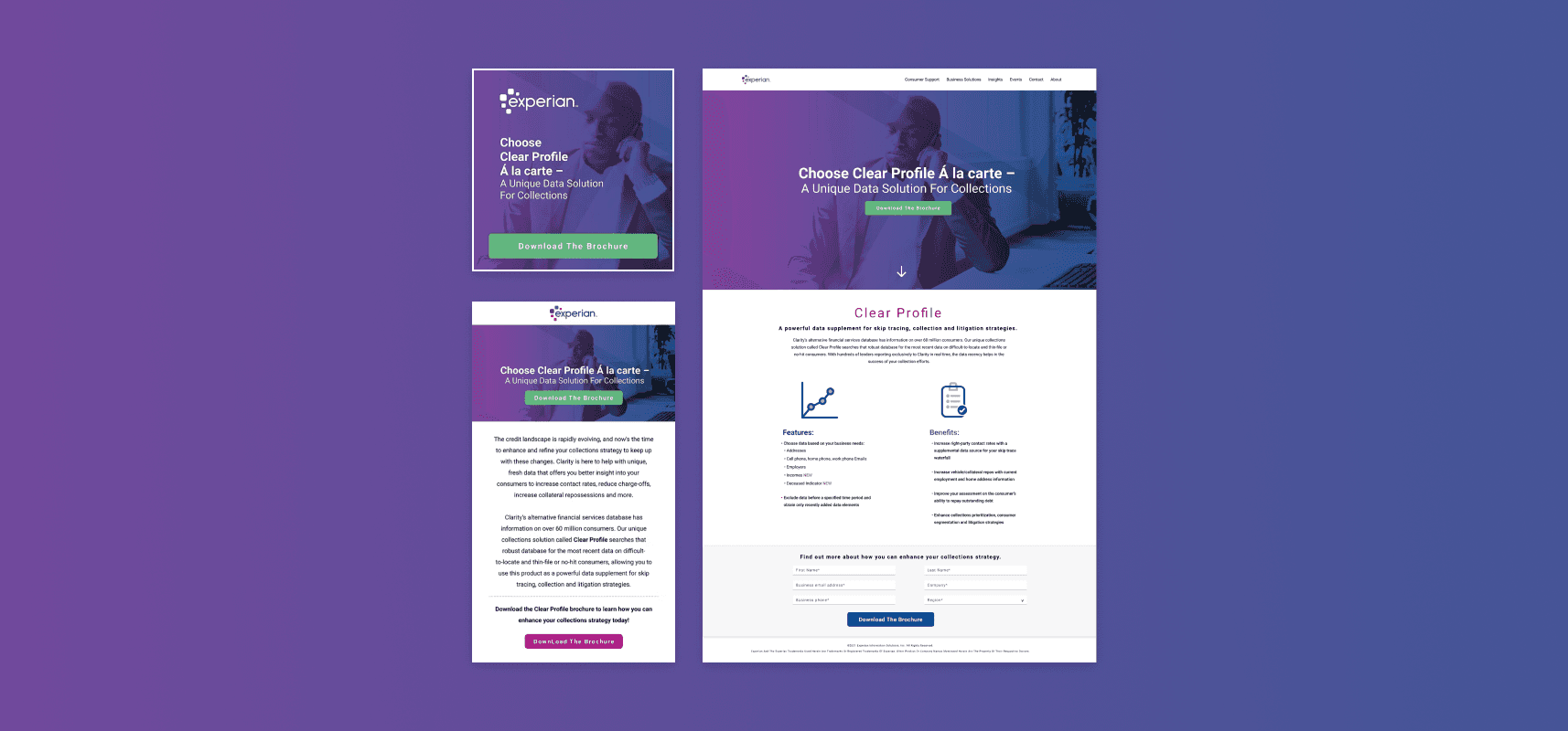 Social Ad, Email and Landing Page