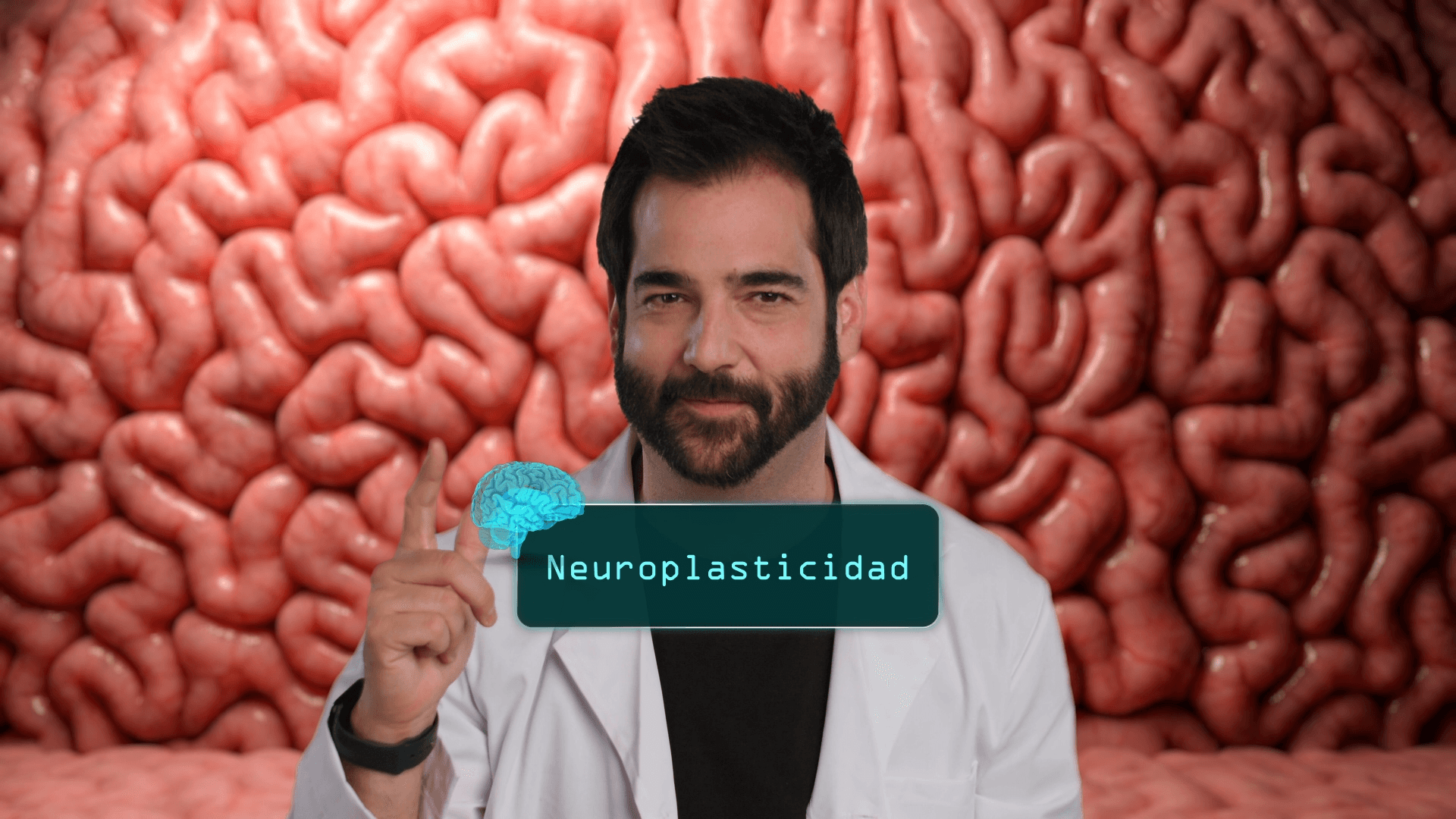 Agilidad en el aprendizaje