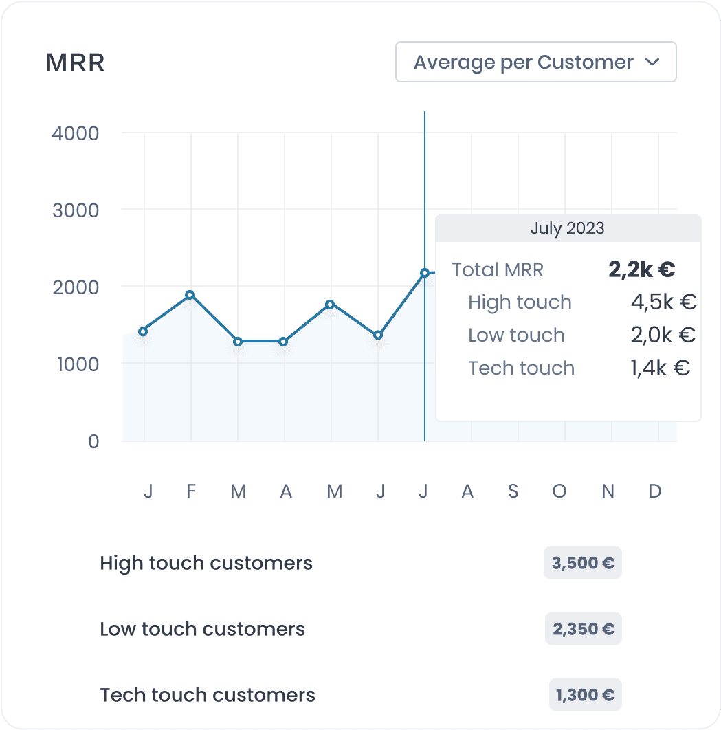 Detailed Revenue analytics for CSM