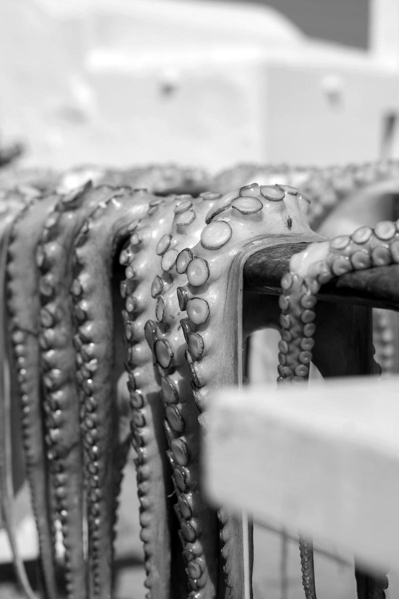 Bespoke private jet hire to Paros Greece - Naoussa and Parikia access