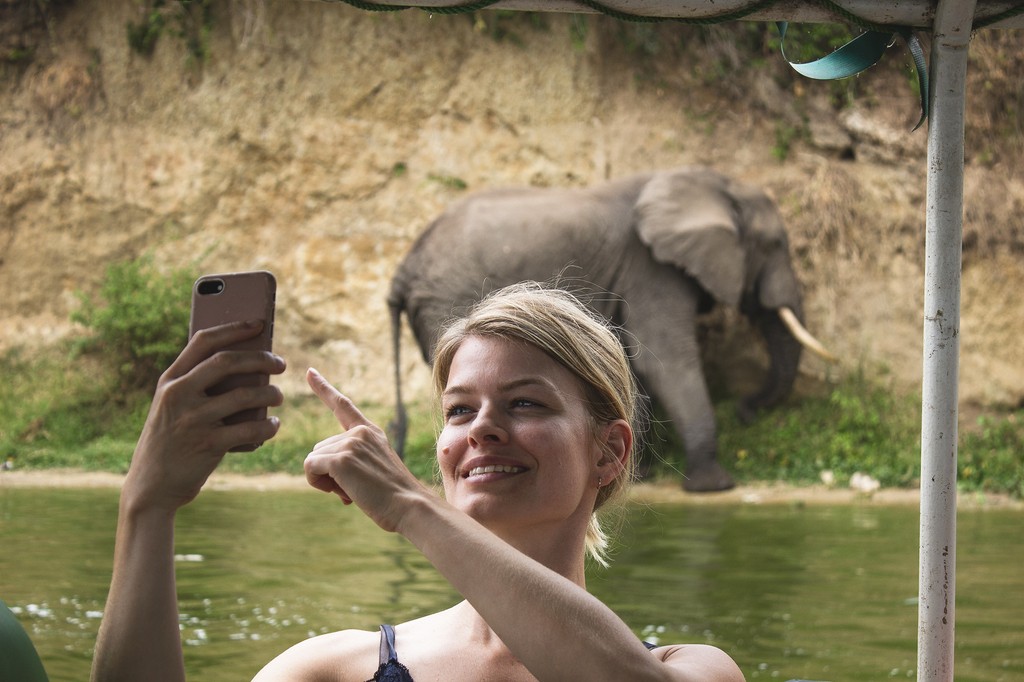 Woman taking a photo of an elephant on her phone