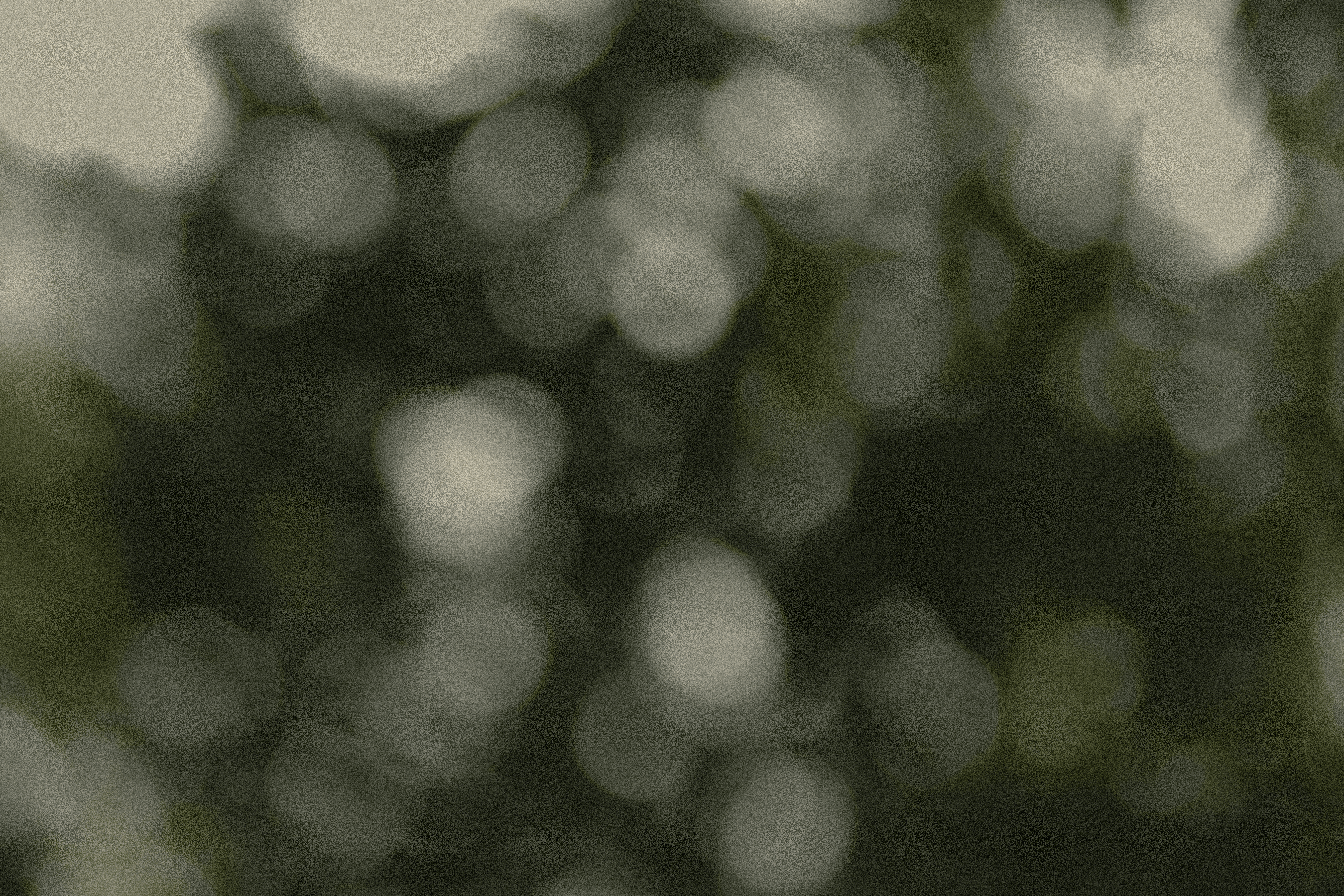 Abstrakcyjne, leśne tło. Rozmazane, pełne kół