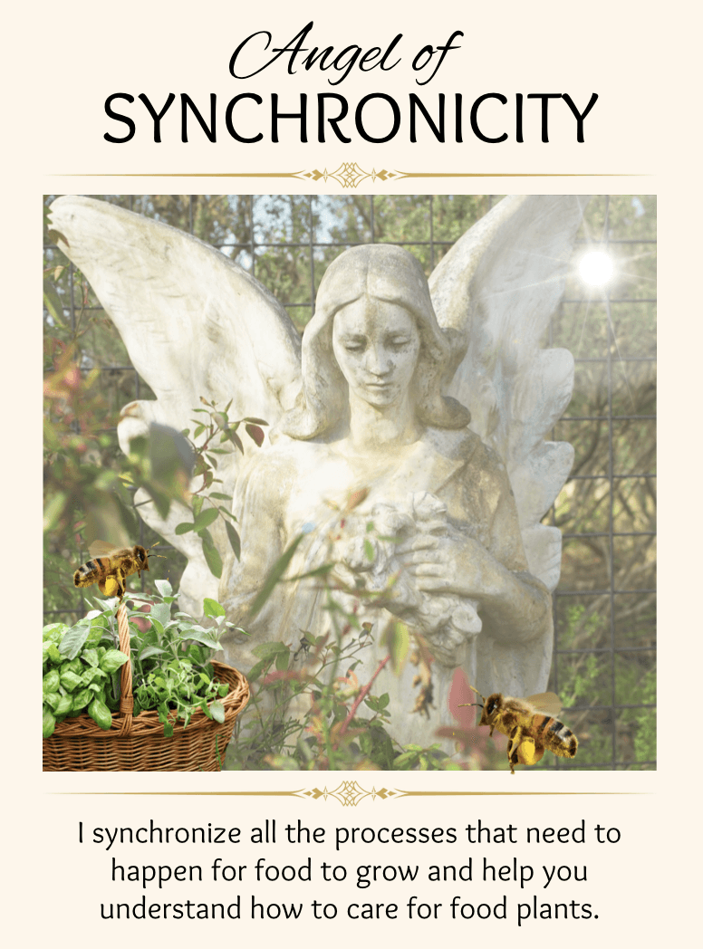 Angel of Synchronicity