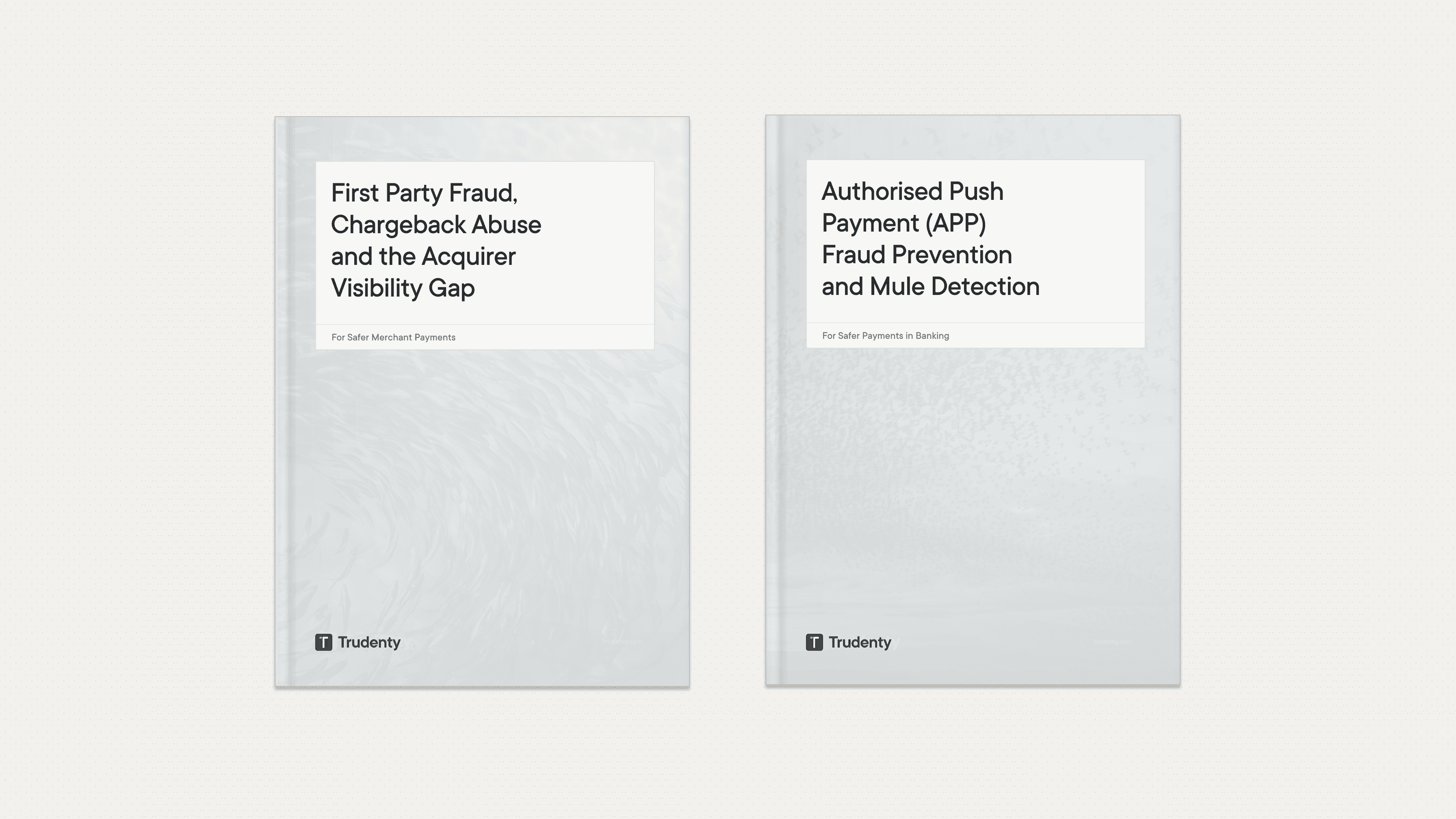 Trudenty Fraud Trends Digest - First Party and APP fraud