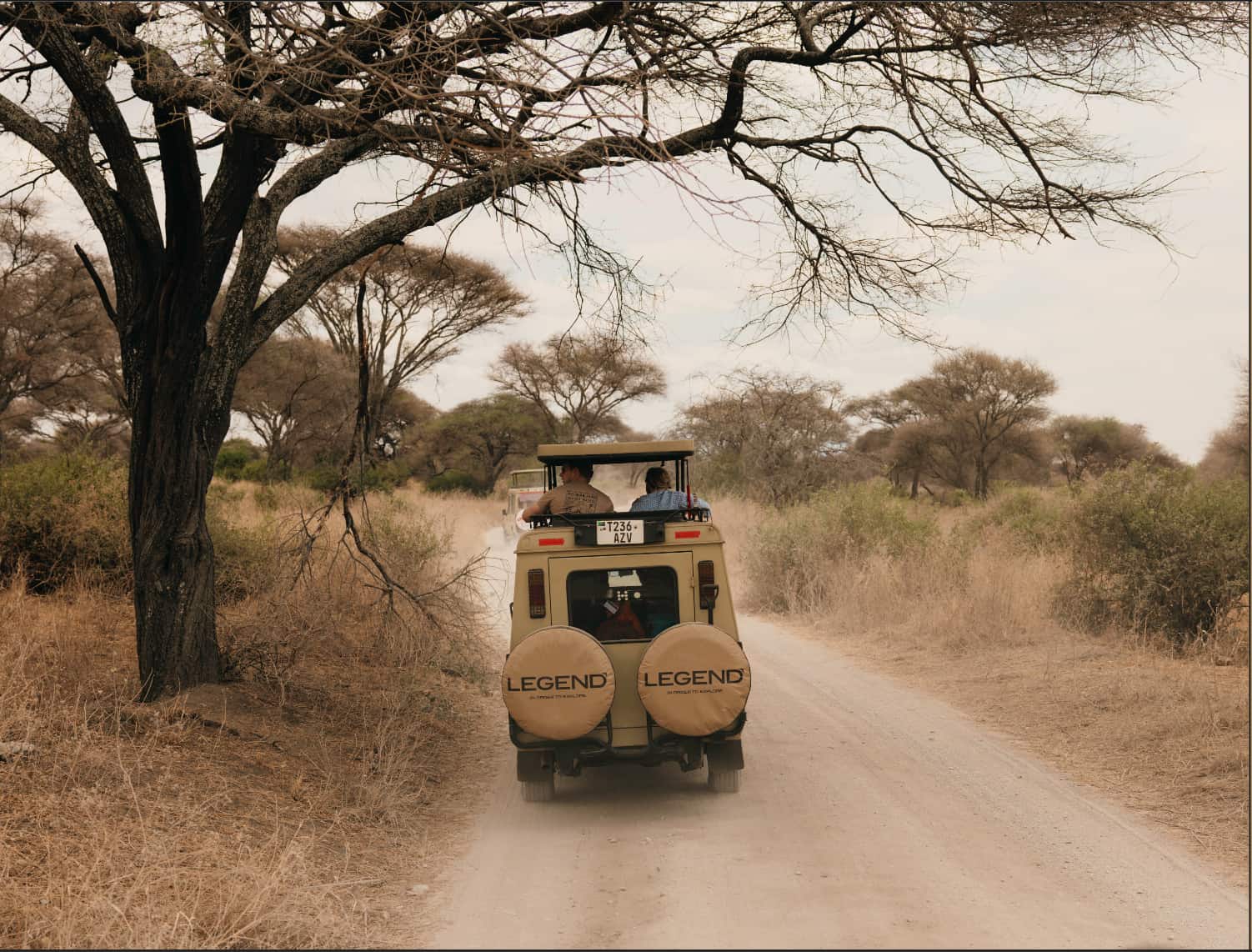 Sunrise game drive in Tarangire during a Tanzania safari after Kilimanjaro