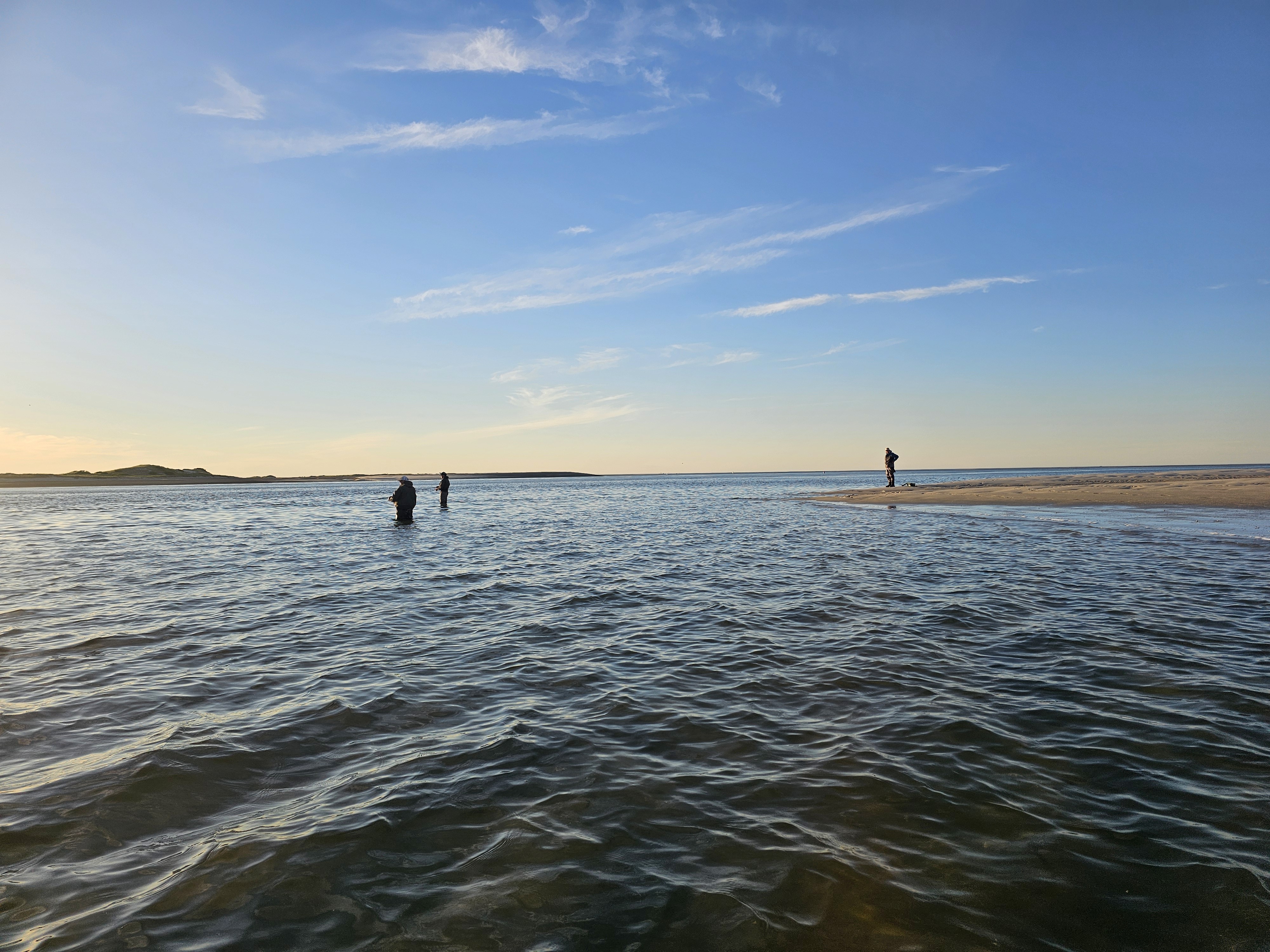 people sitting on chair in front of laptop computers