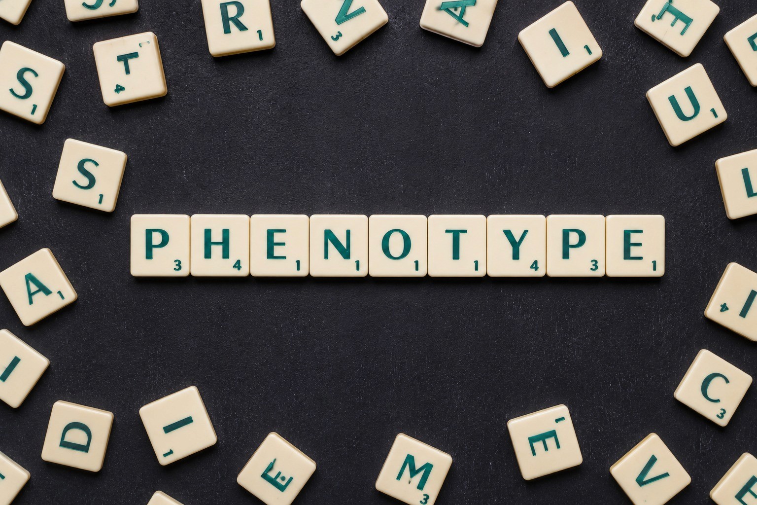 How Phenotype-Based Recruitment Improves Clinical Trial Outcomes