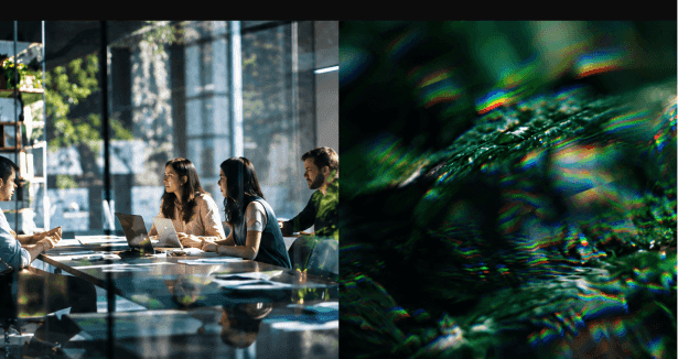 Selva Collaboration and Organic Prismatic Texture