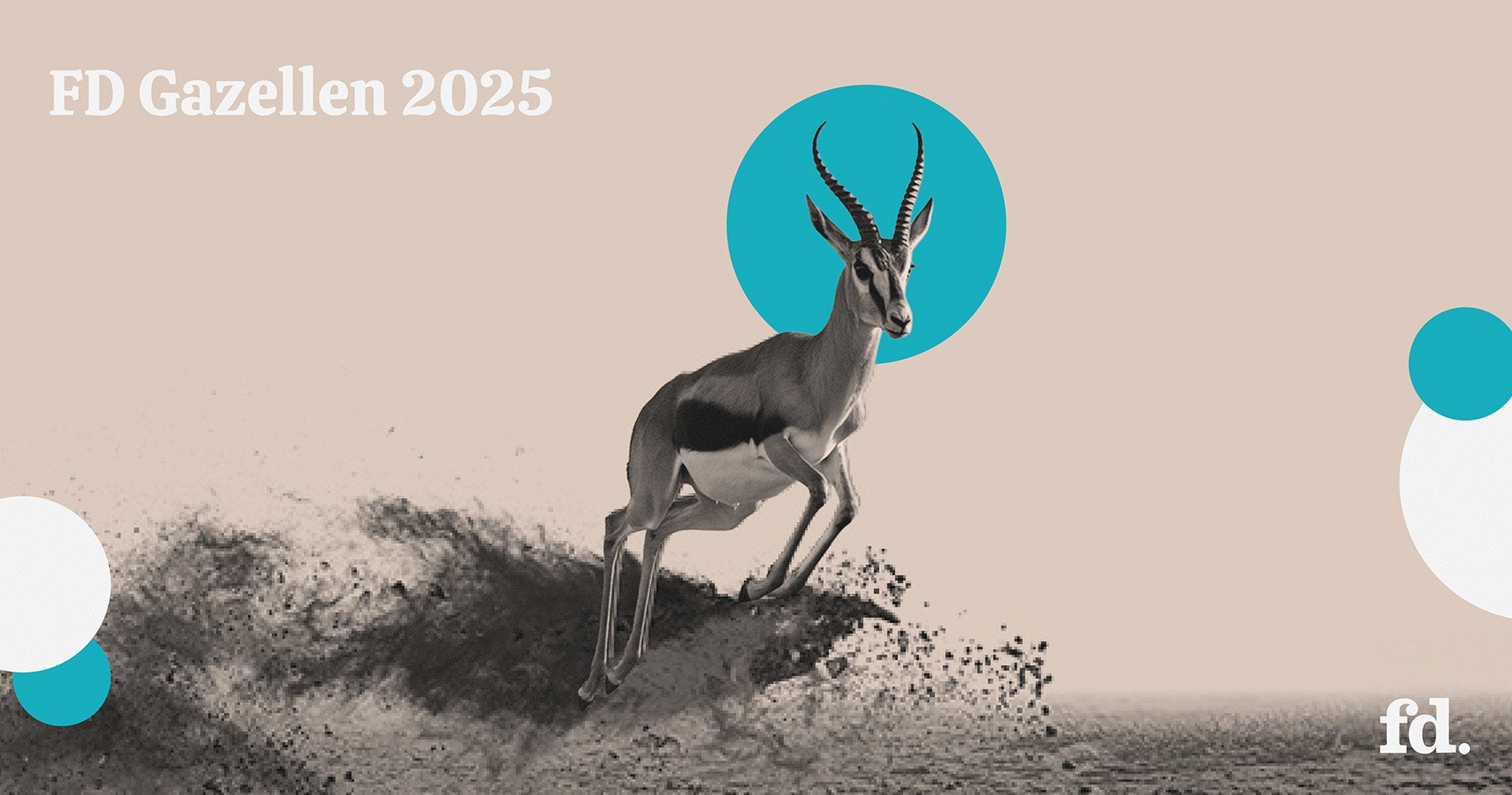 Monday Merch Named FD Gazelle 2025