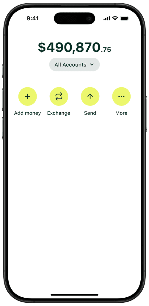 Phone mockup with bank app screenshot