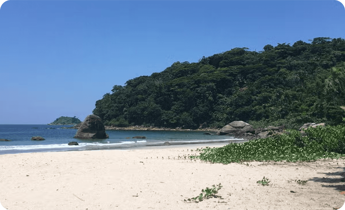 Excursión a la Isla Santo Amaro