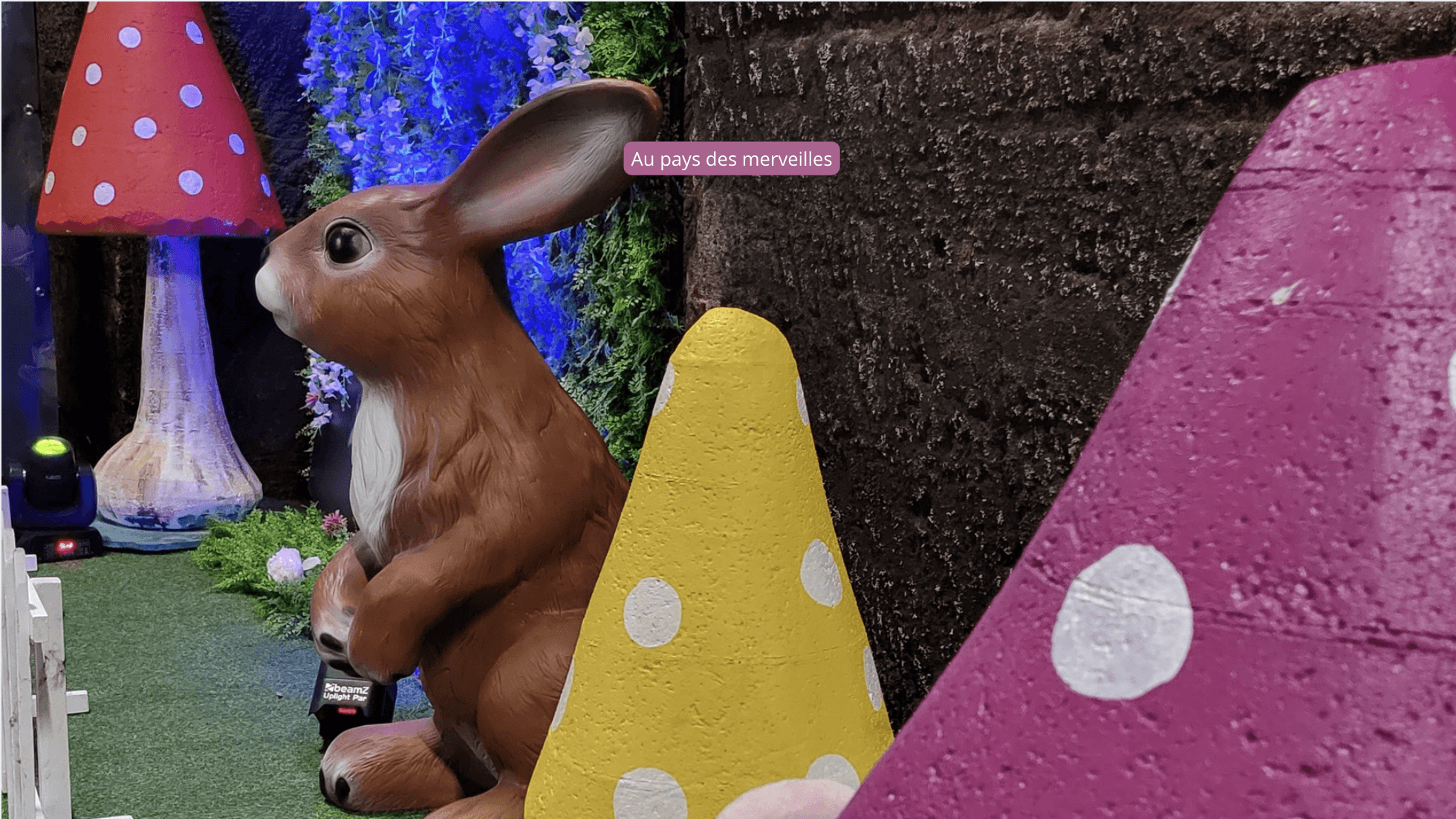 decor-soiree-theme-pays-des-merveilles