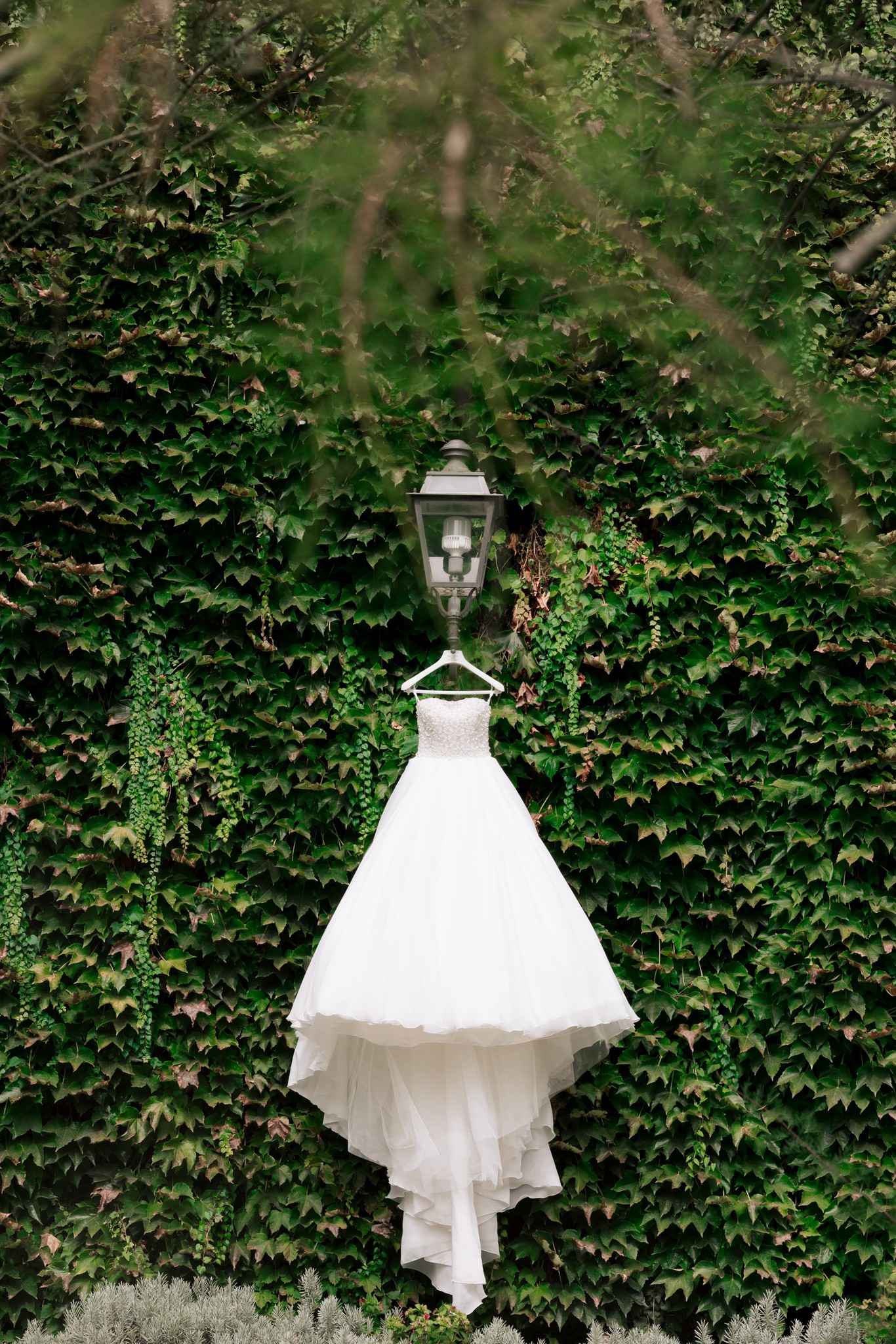 Abito da sposa bianco appeso tra l'edera di Villa Ferrari, dettaglio dei preparativi matrimoniali