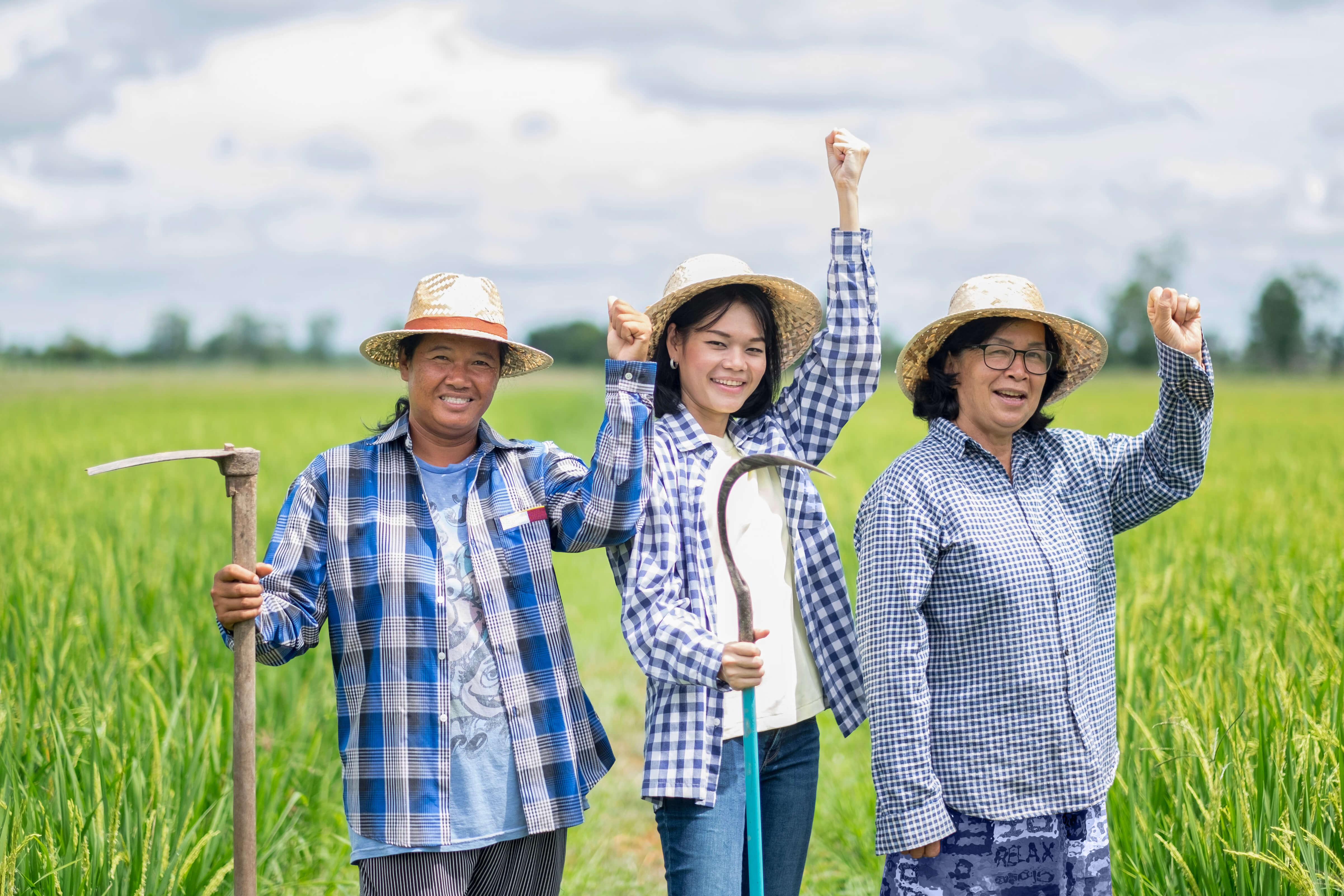 solar panels on the roof