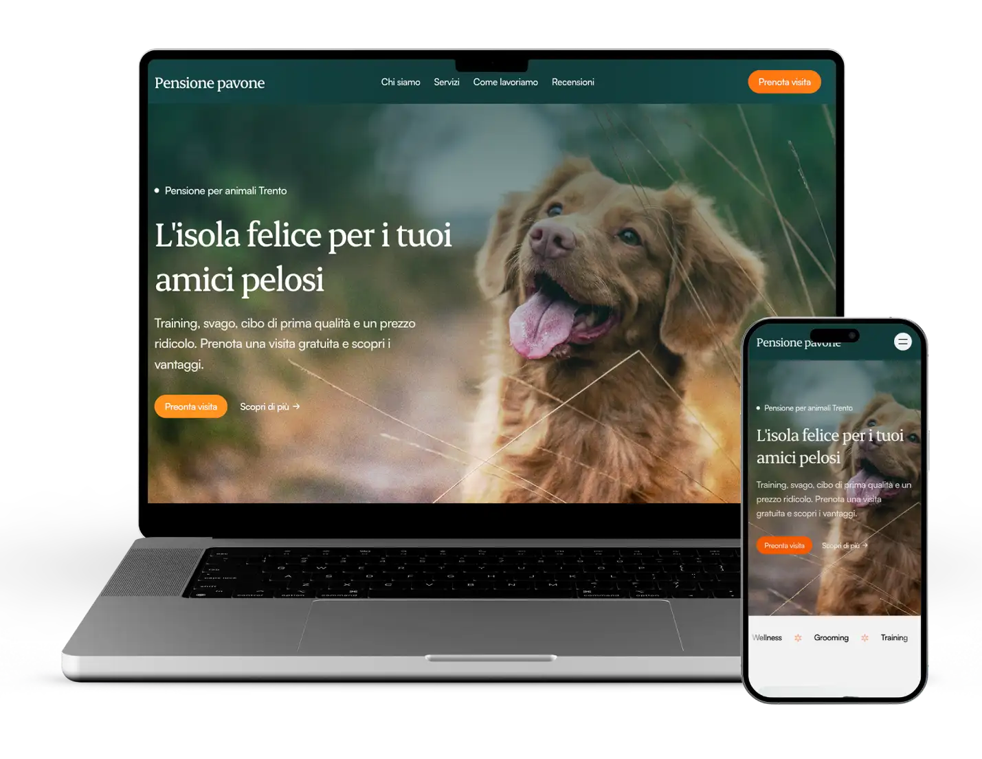 Realizzazione siti web professionali a Bergamo