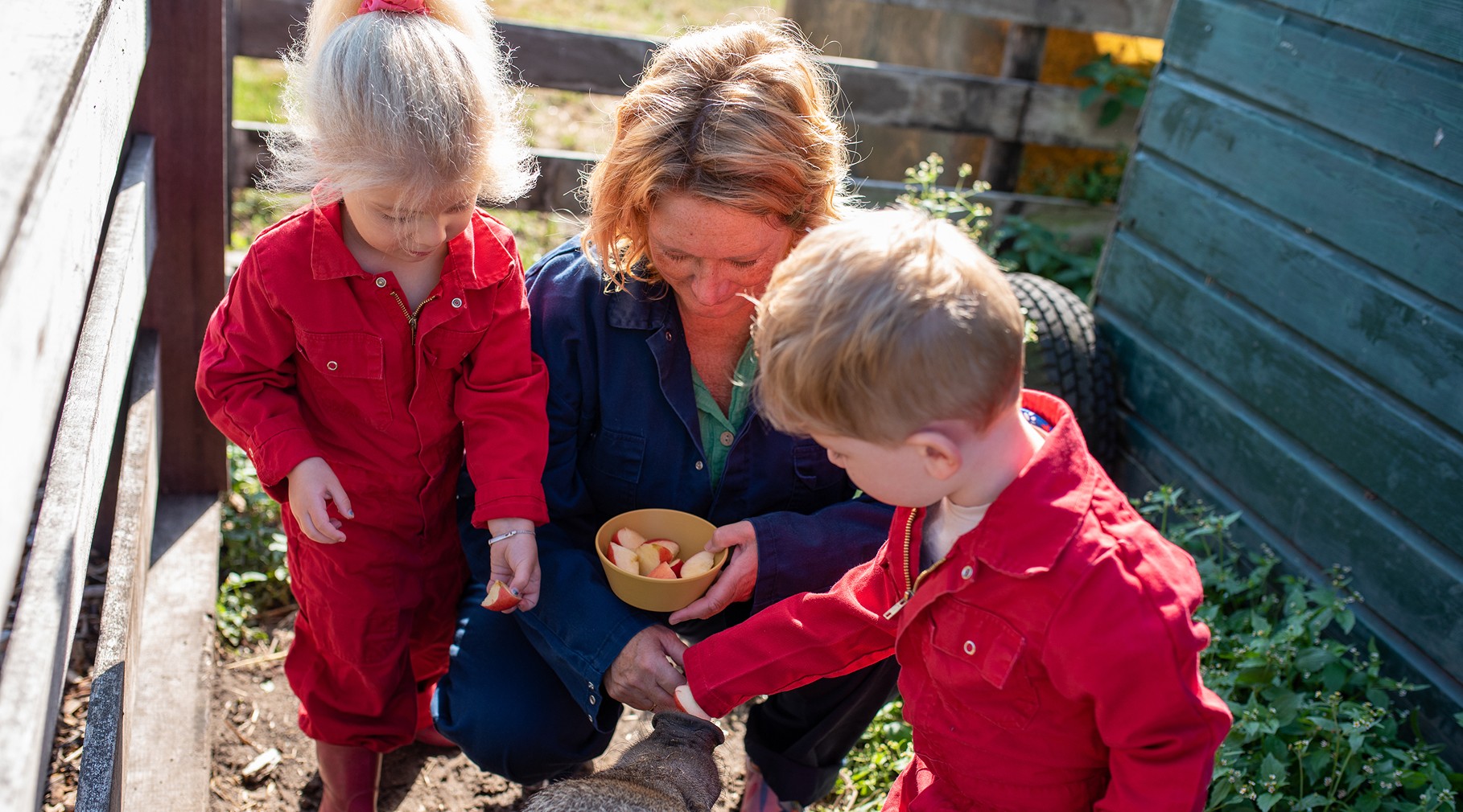 Een jonge jongen met blond haar en een groen T-shirt schommelt lachend op een autoband aan een rood touw in een groene, boomrijke speeltuin.