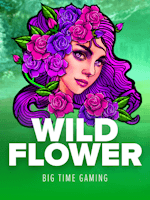 Wild Flower — cover
