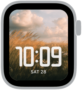 summer hush Apple Watch face preview 3 featuring summer.