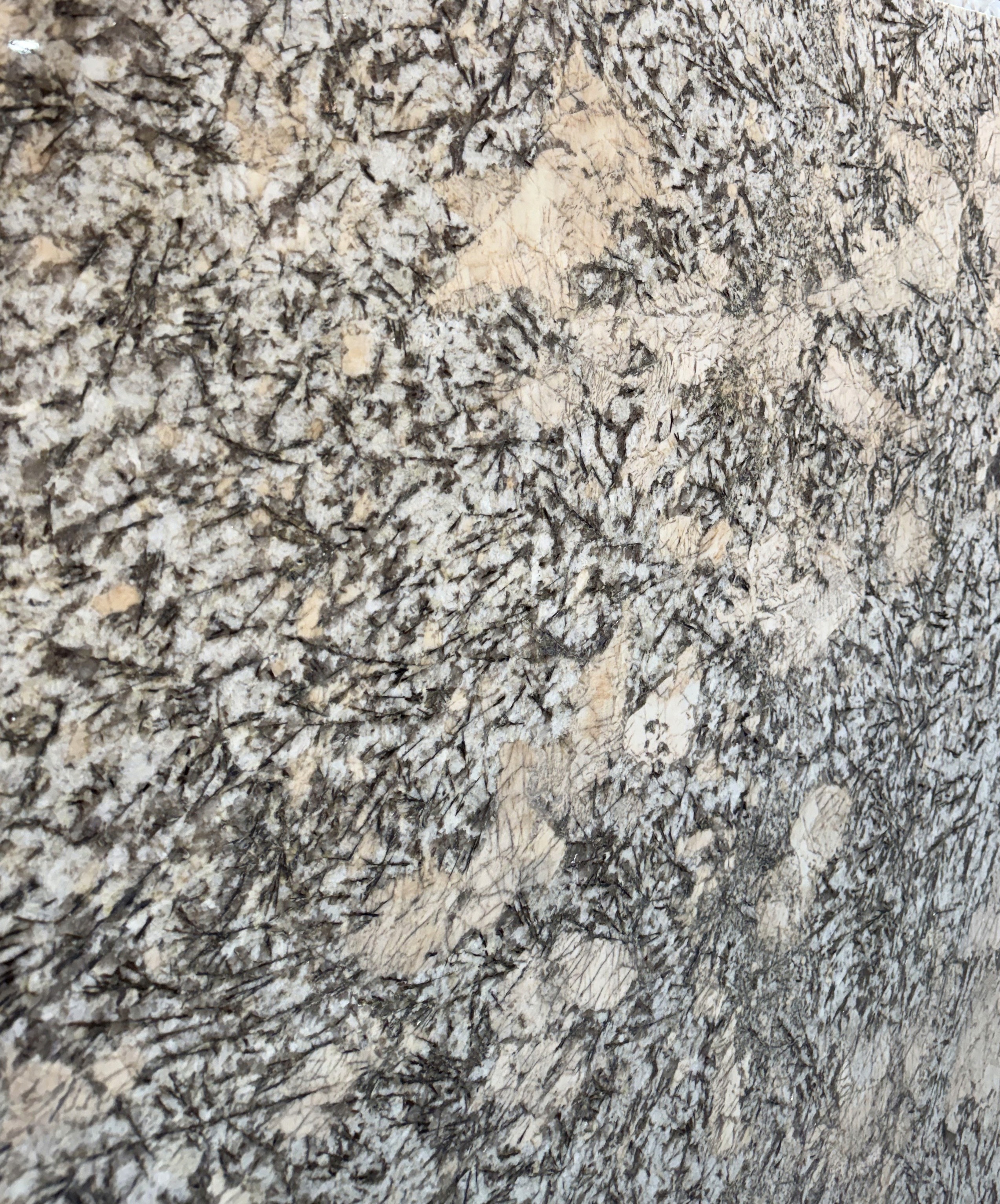 Naturstein Desert Gray mit feiner Maserung