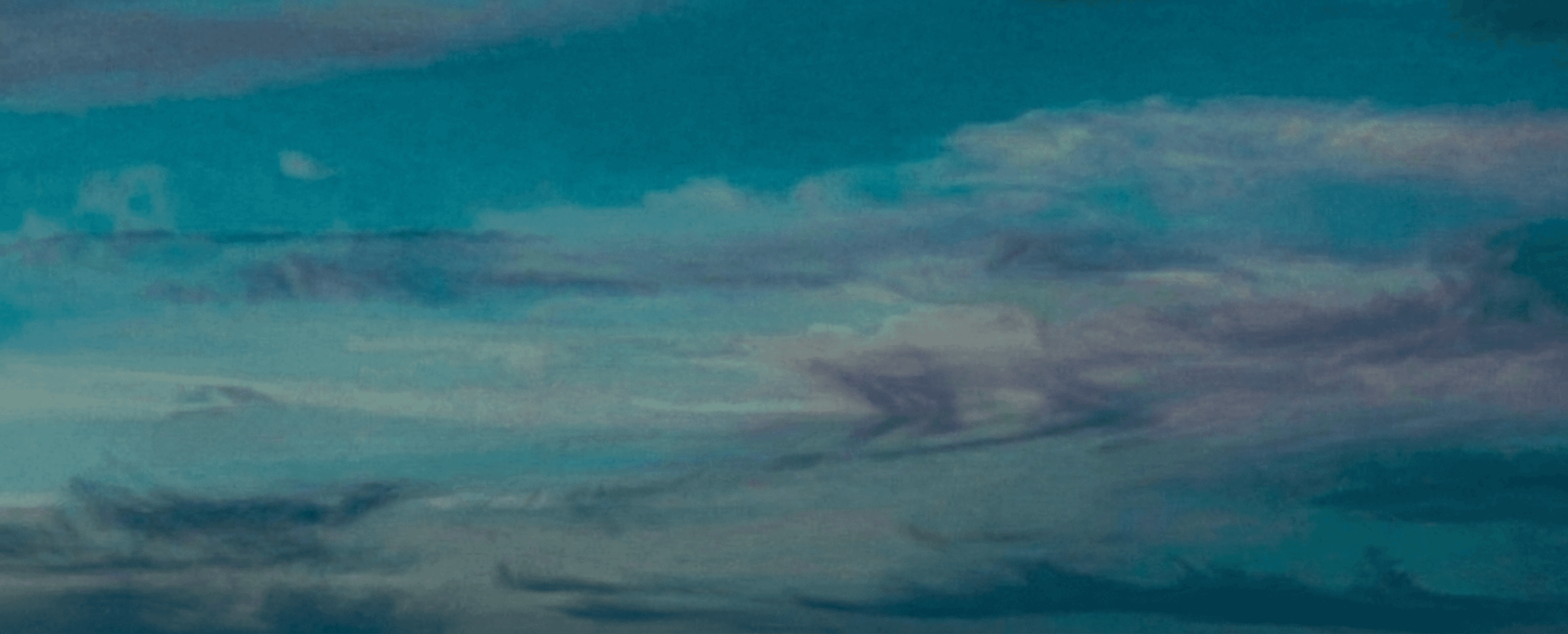 aerial view of green trees and road during daytime