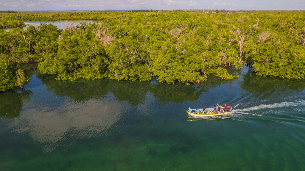 A boat travelling next to mangroves (c) Anthony Ochieng Onyango