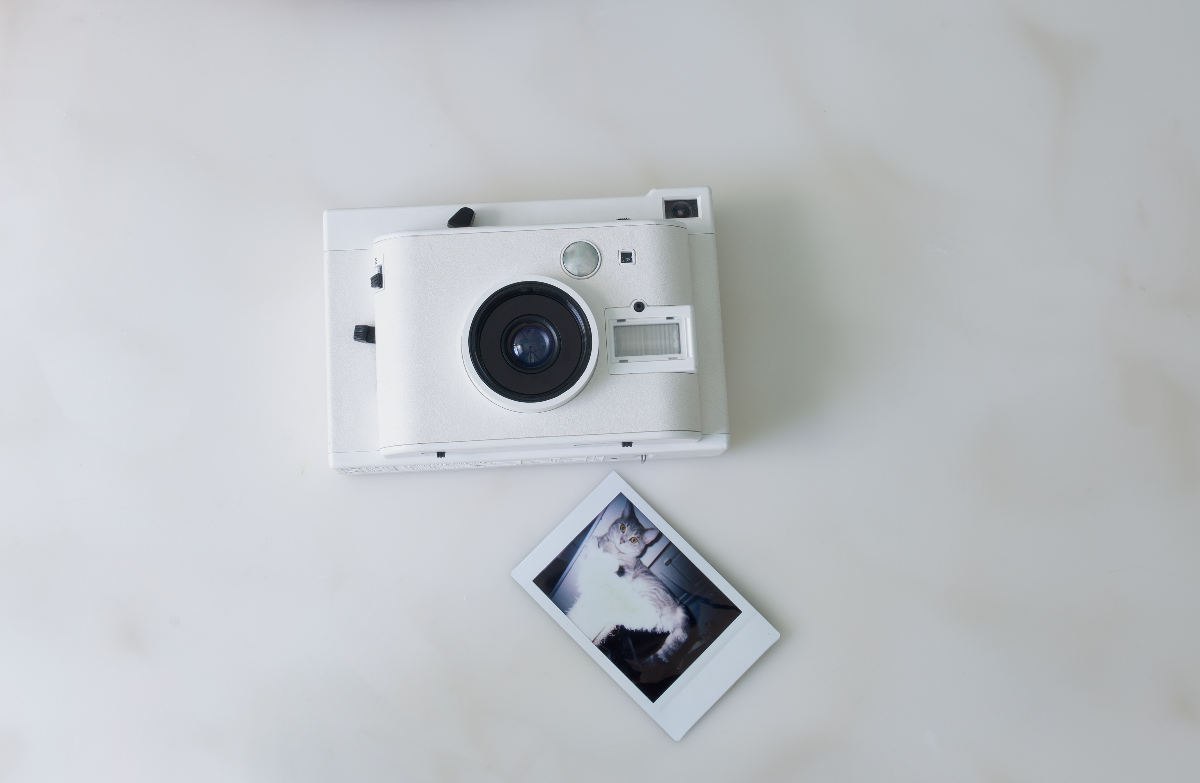 Poloroid Project Image 