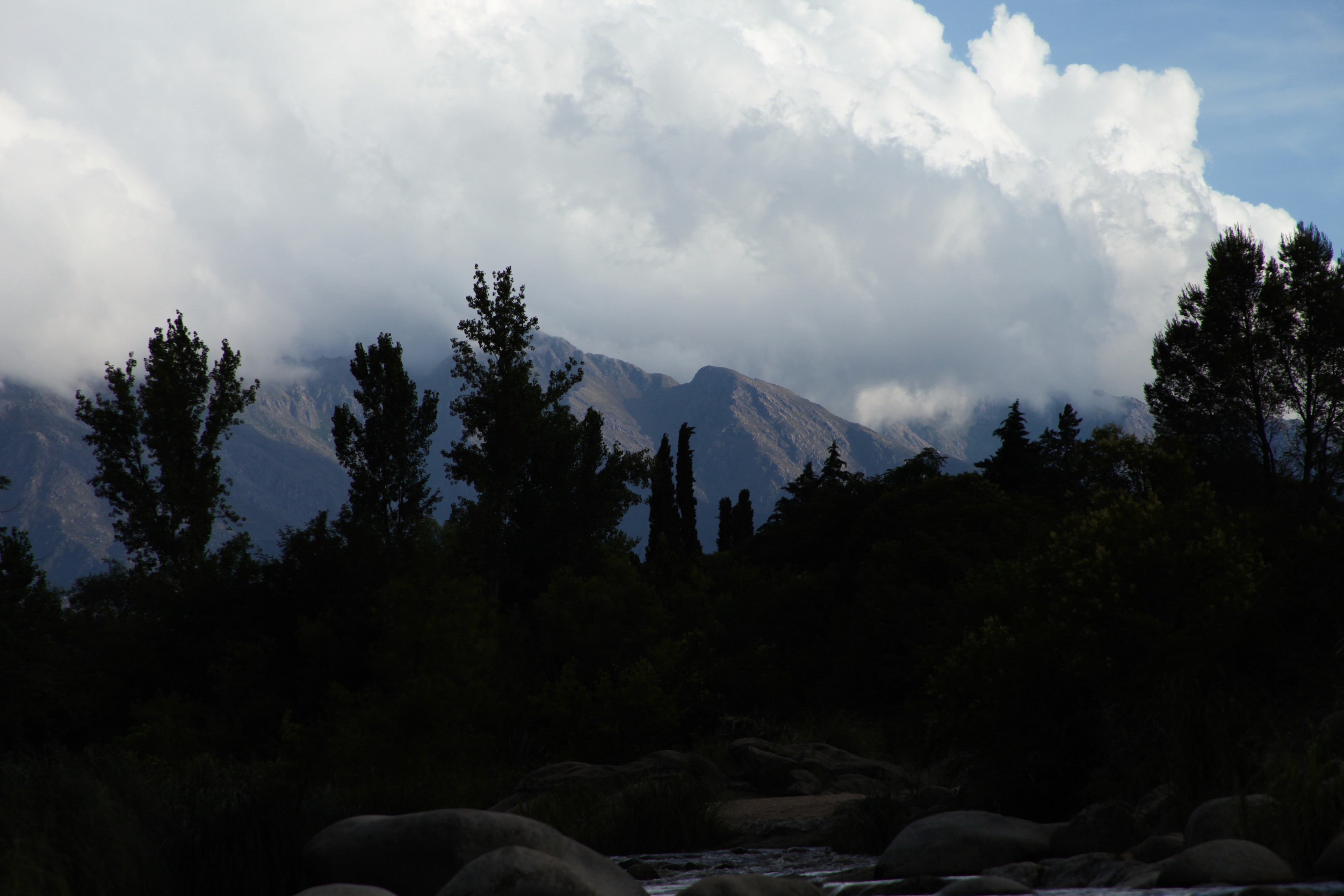 two people in a workspace working on their laptops