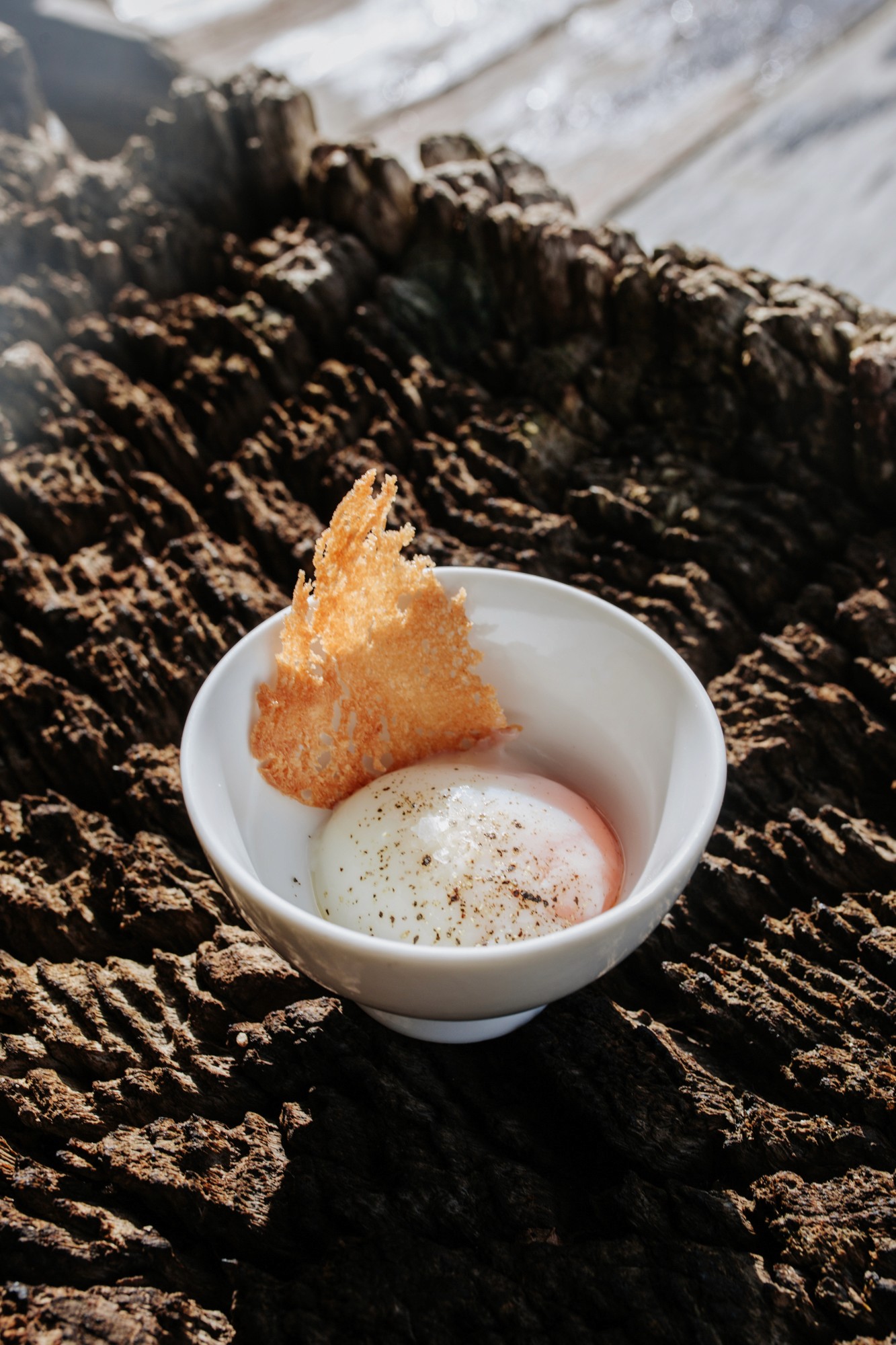 A parada das bestas | Sesion fotografía