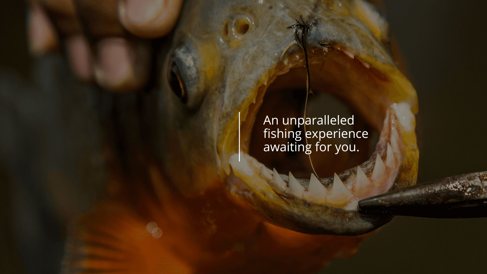 An unparalleled fishing experience awaiting for you