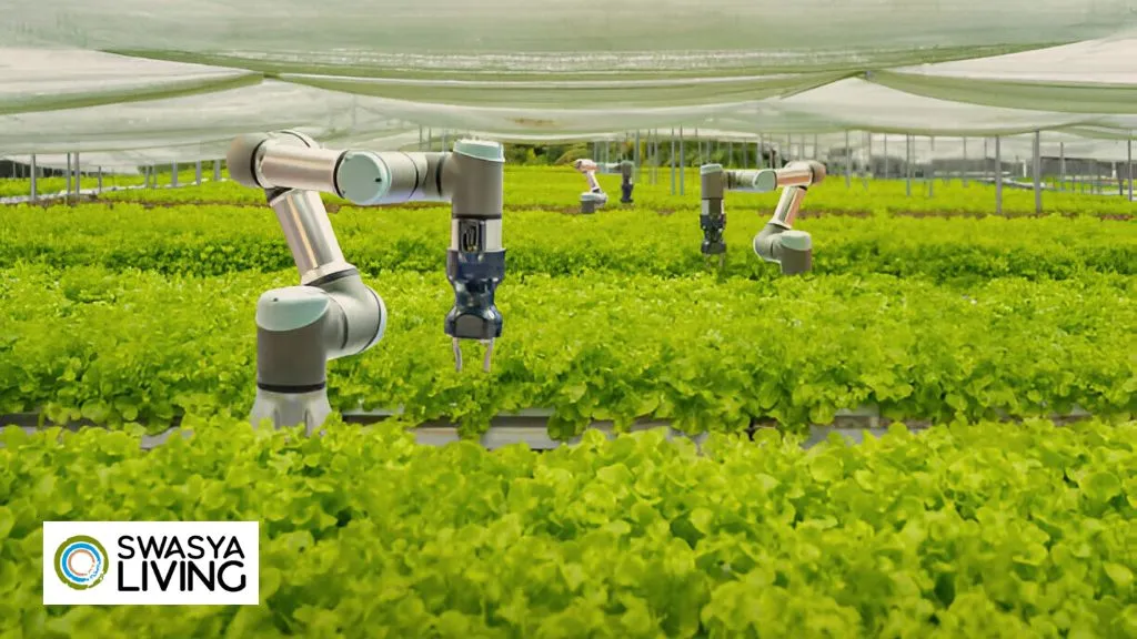 Understanding Precision Farming