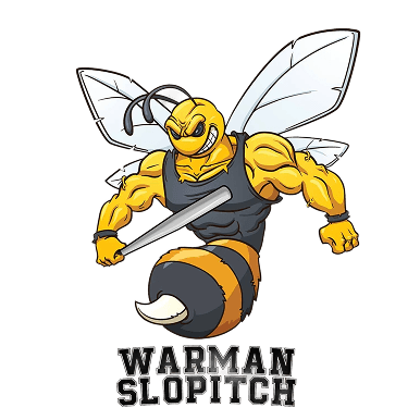 A TeamLinkt Sports League Partner Logo