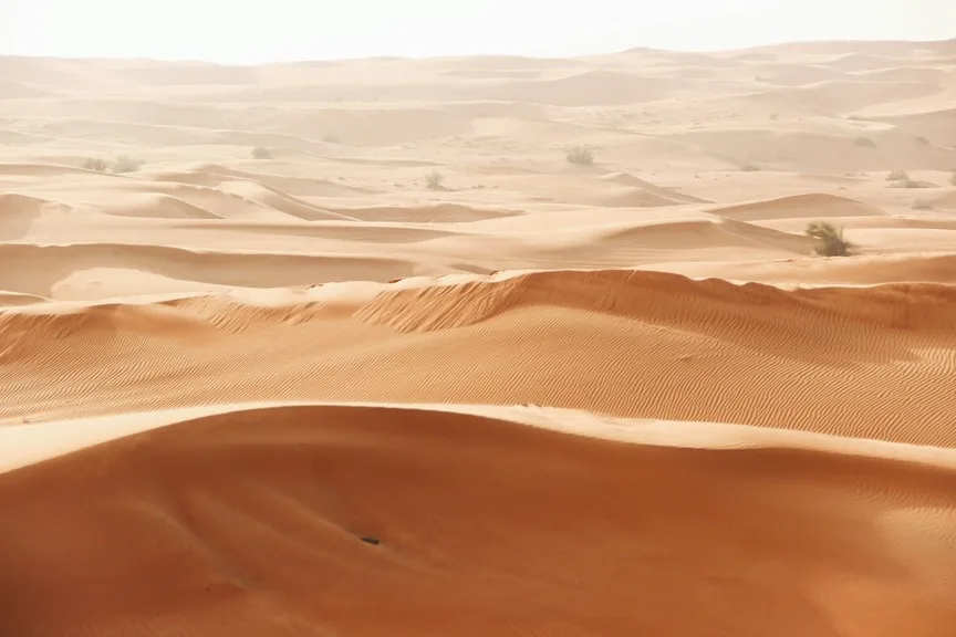 Deserto paisagem