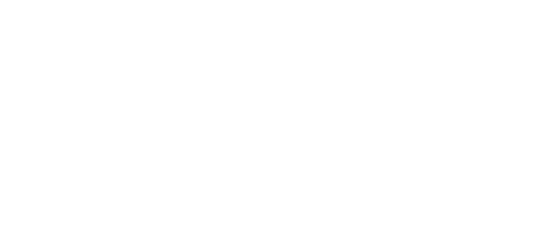 Nicolas Vincent