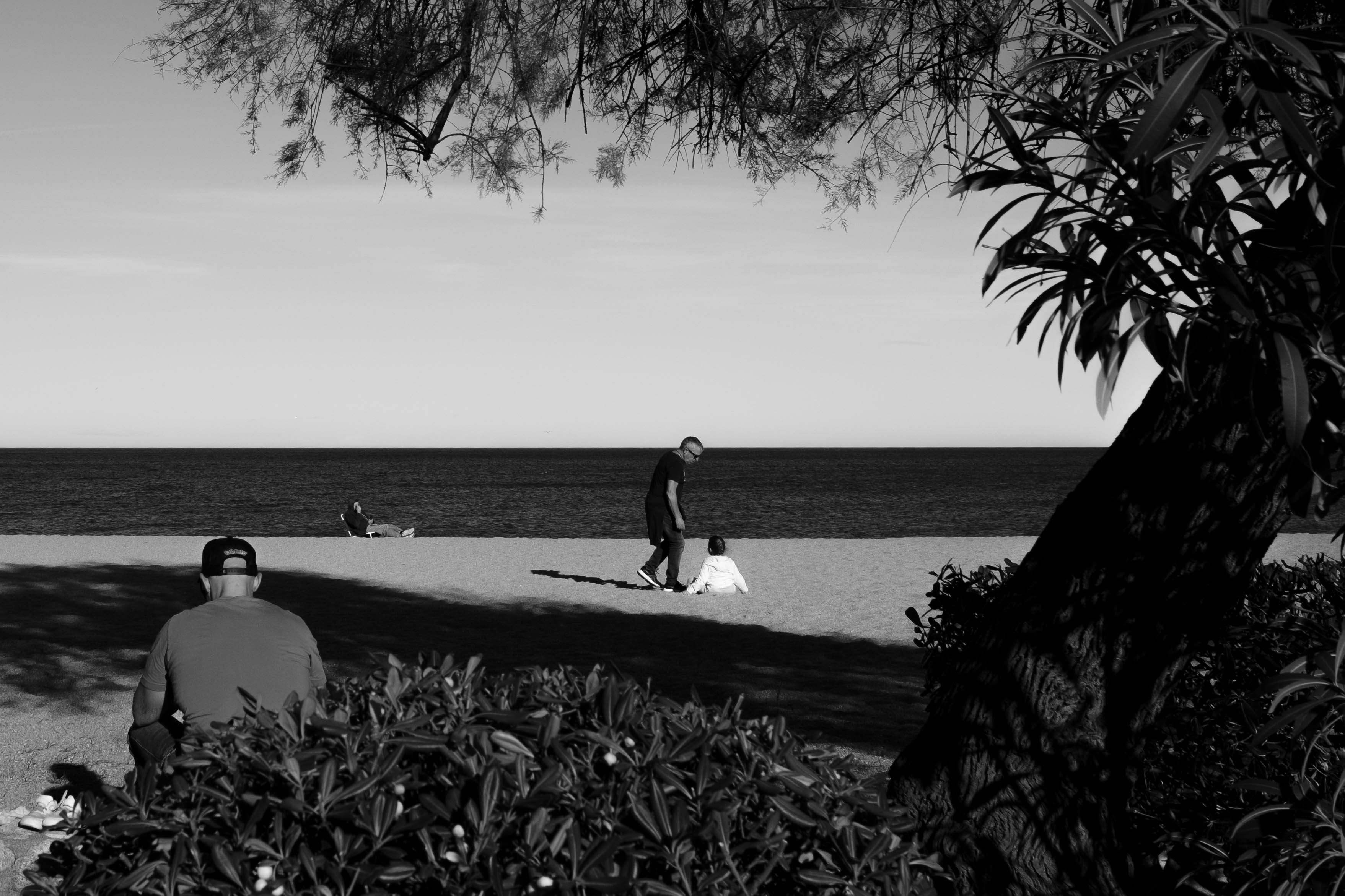 People sitting under a tree on the beach