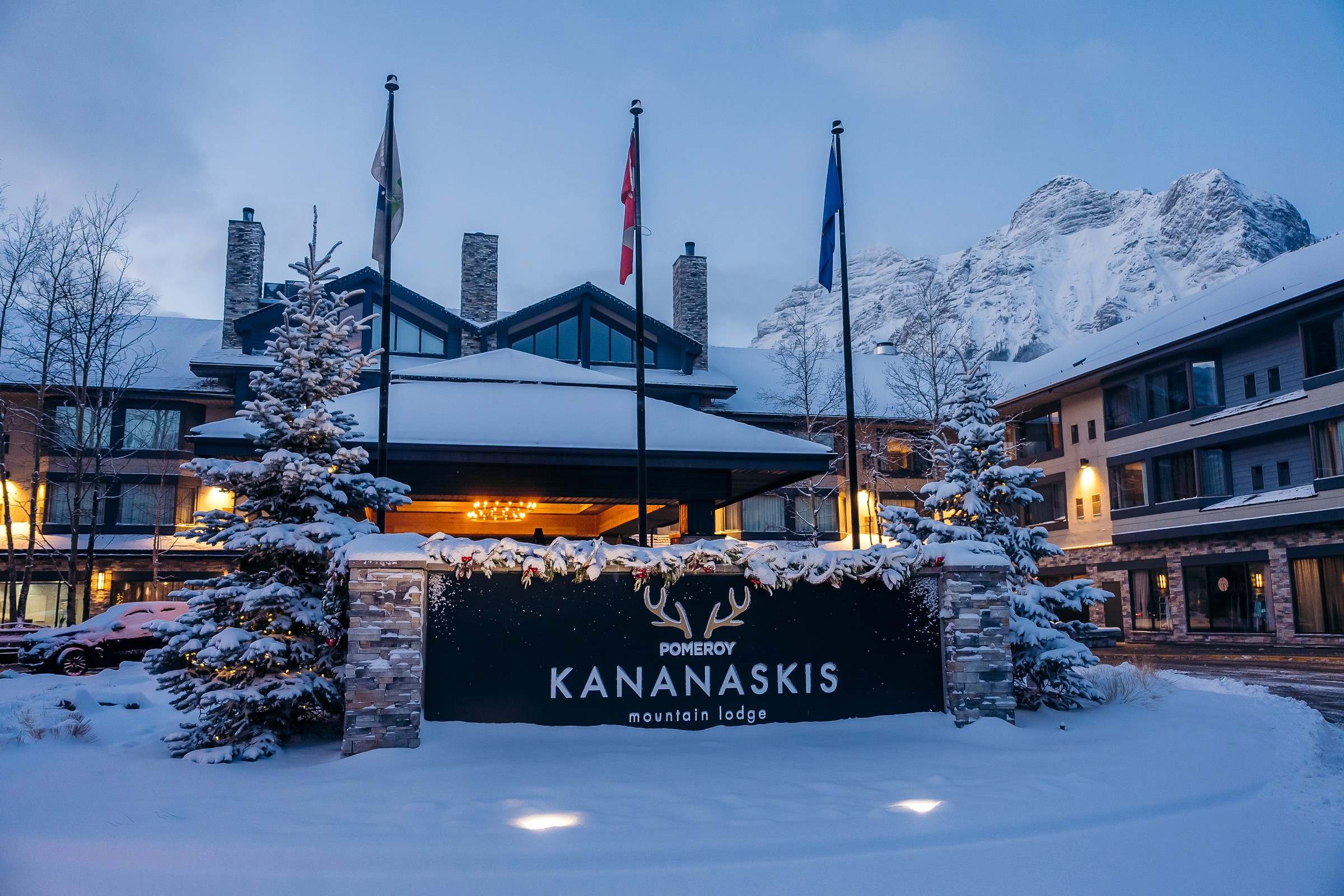 Dynamic picture of a cyclist riding downhill