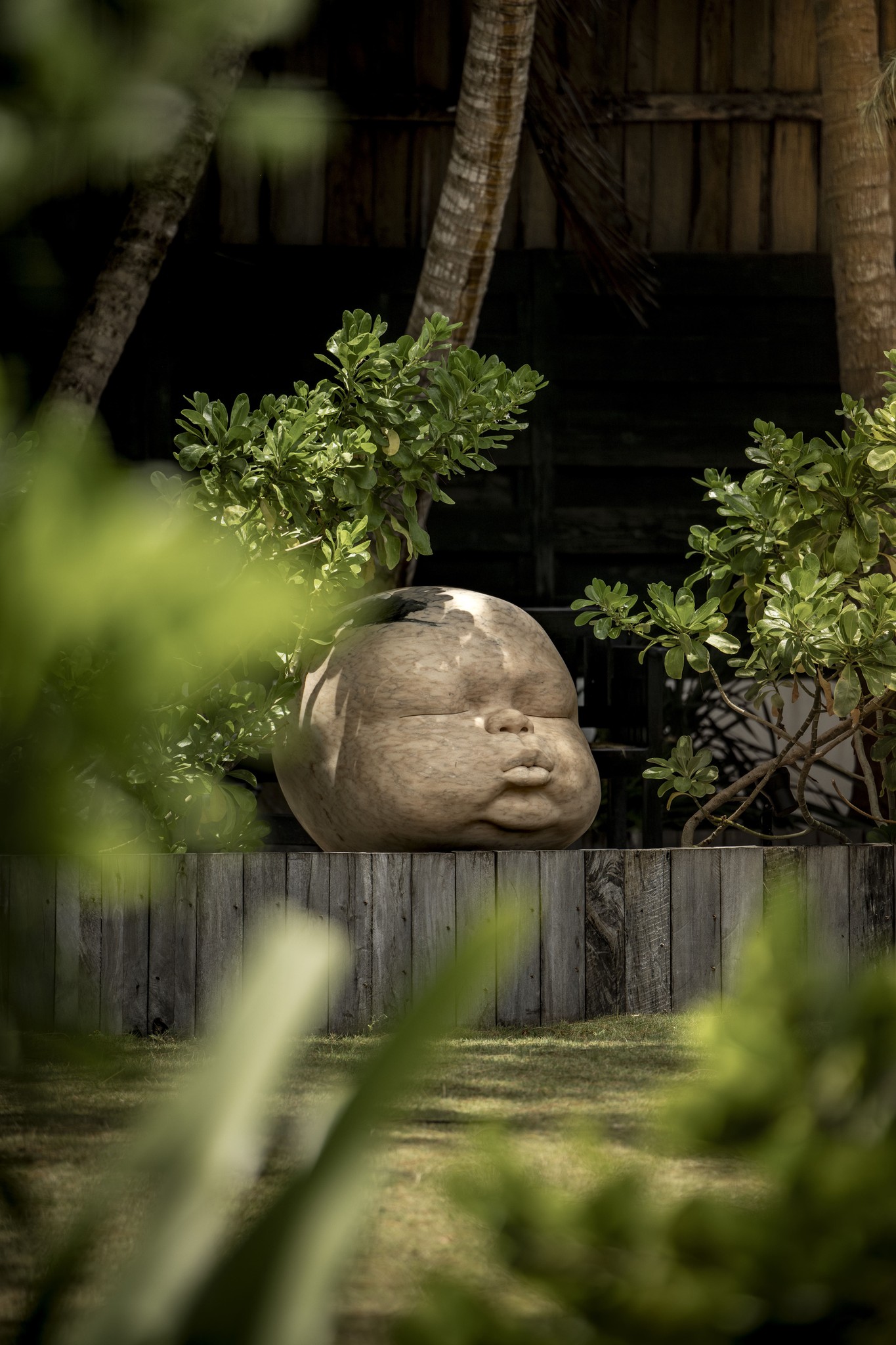 Statue in the middle of plants