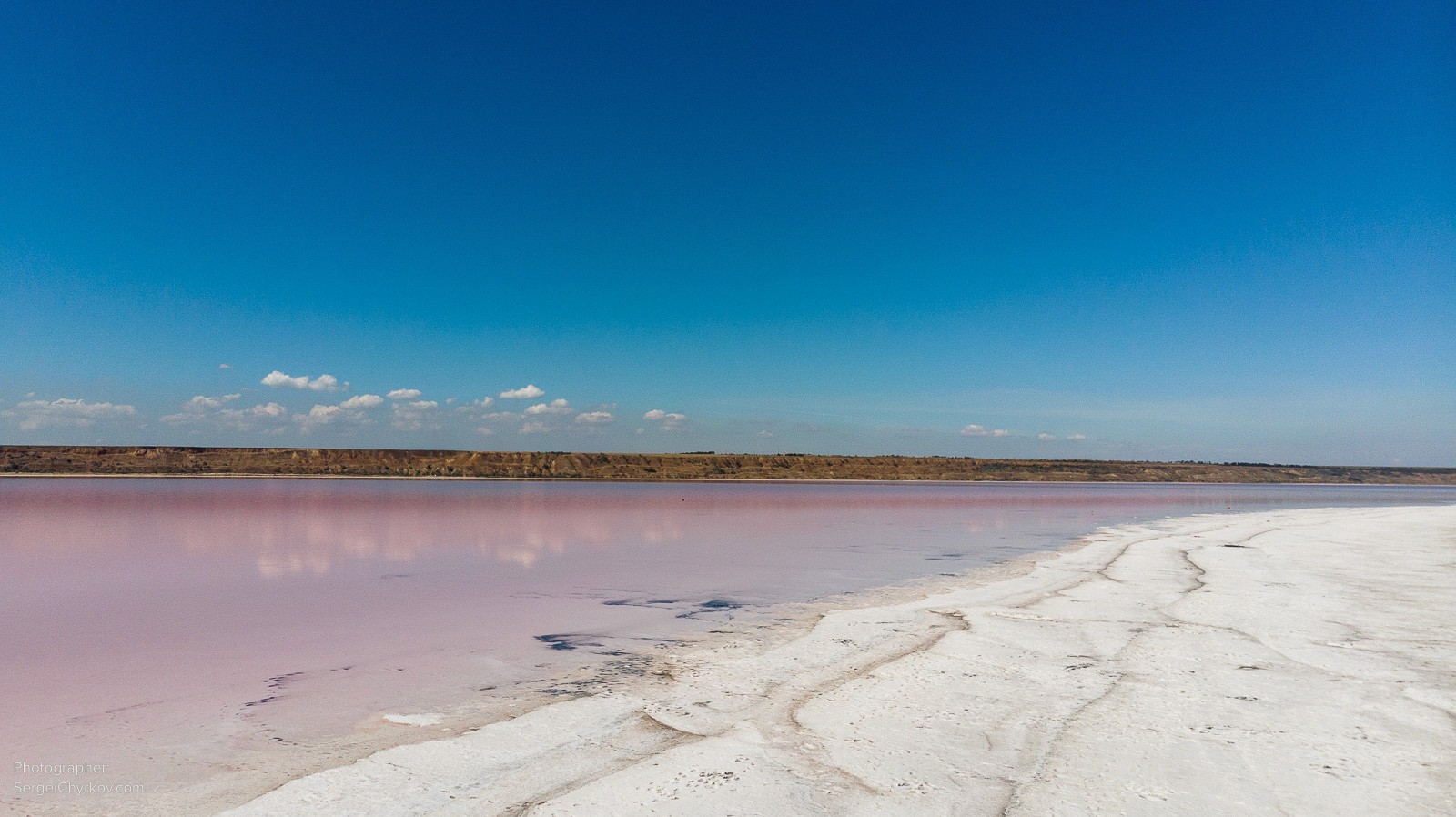Одесский Куяльник, розовое цветение. Фотограф Сергей Чирков. 