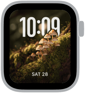 moss & mushroom Apple Watch face preview 2 featuring autumn and summer.