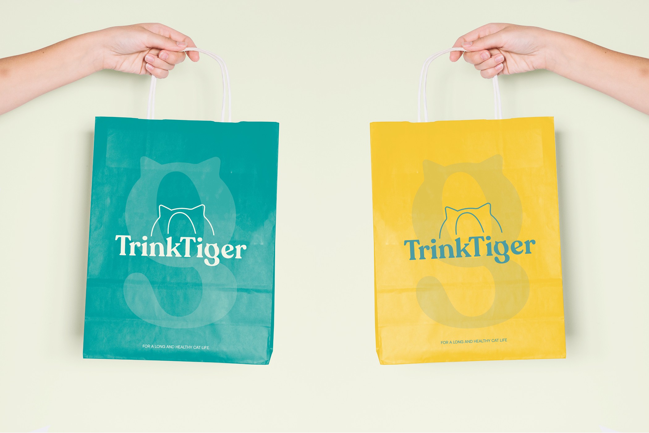 Brand identity applied consistently across digital touchpoints