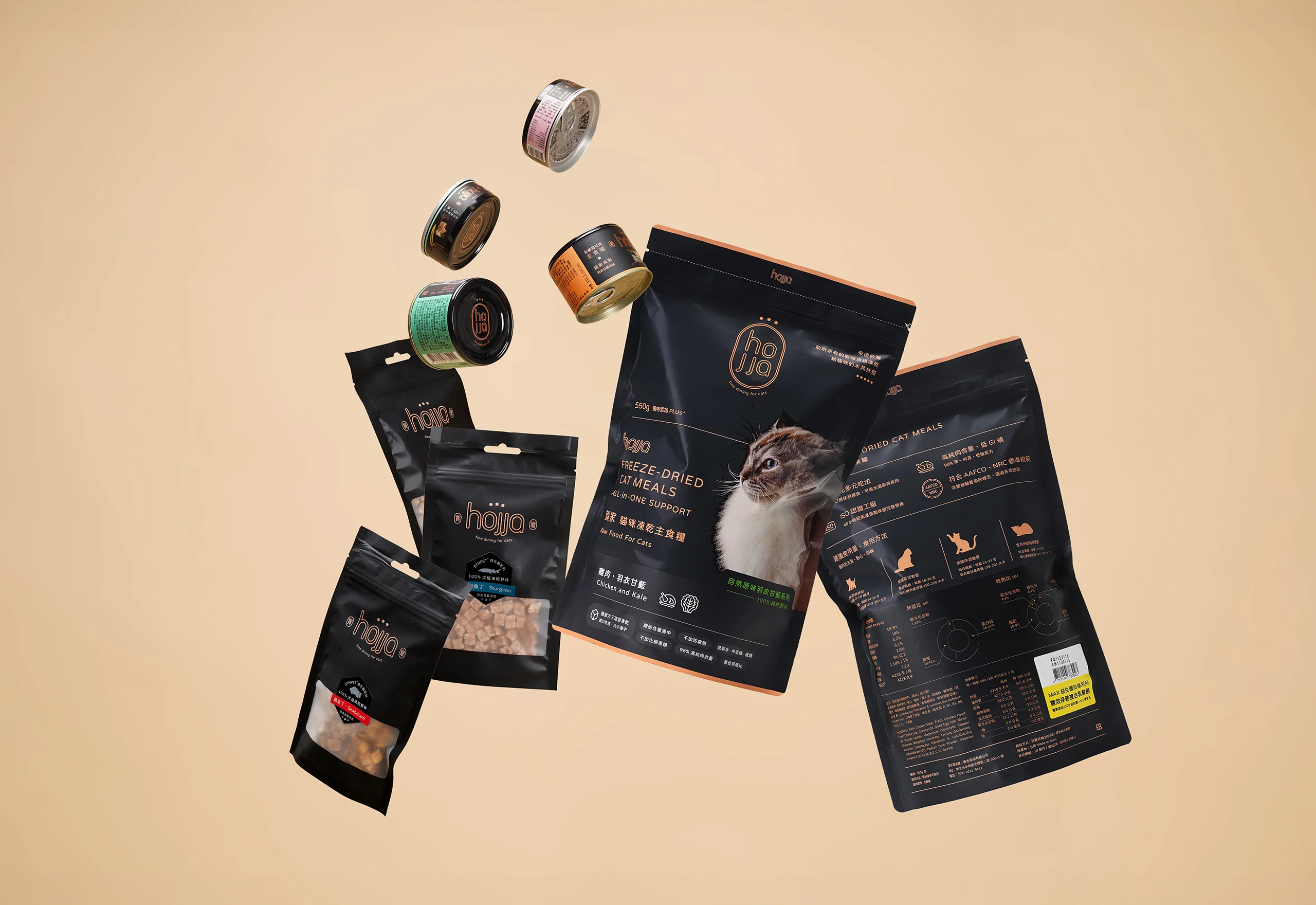 An iPhone mockup of 3 screens for the travel easy app